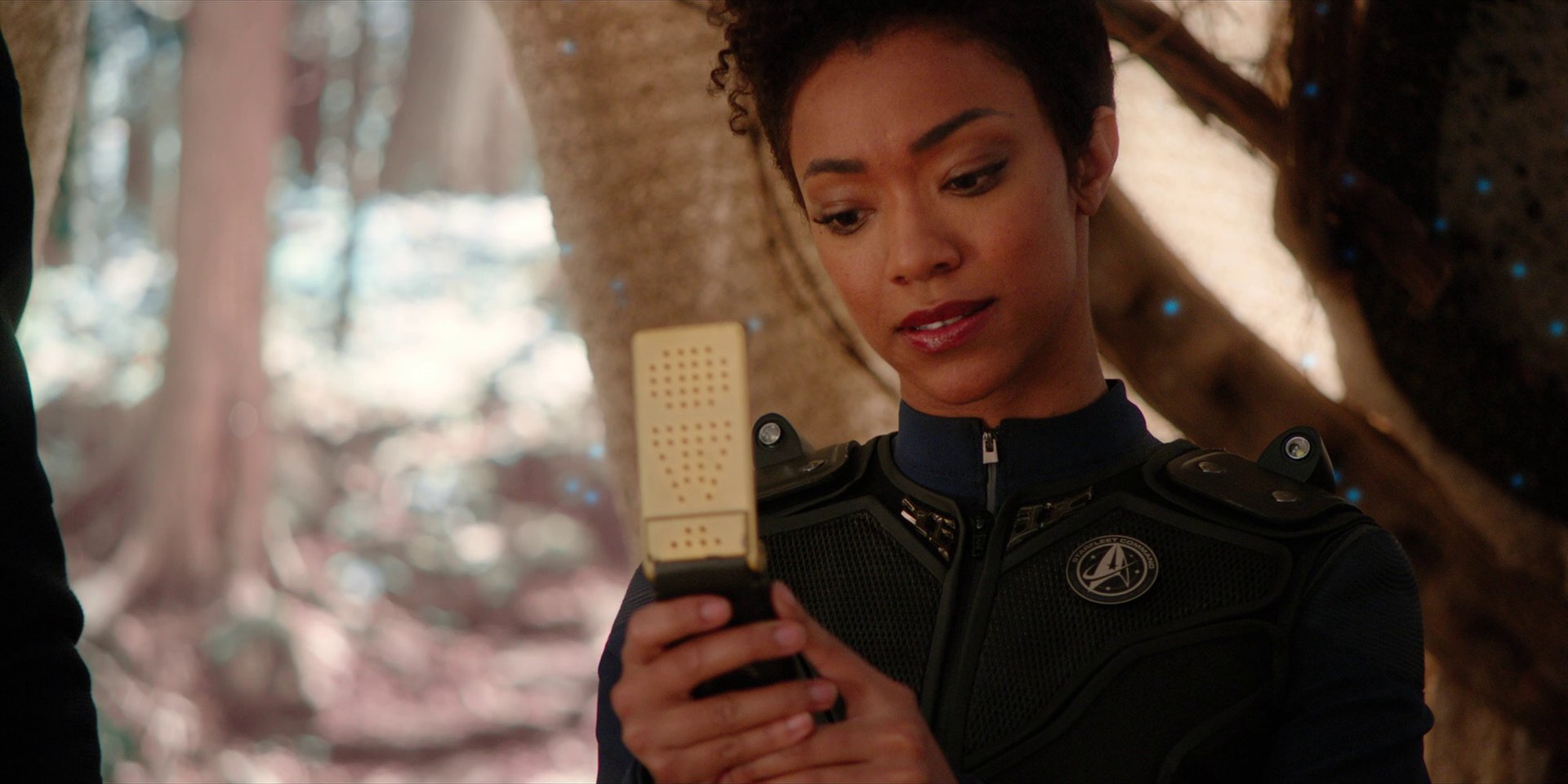 extant_StarTrekDiscovery_1x08-SiVisPacemParaBellum_1274.jpg
