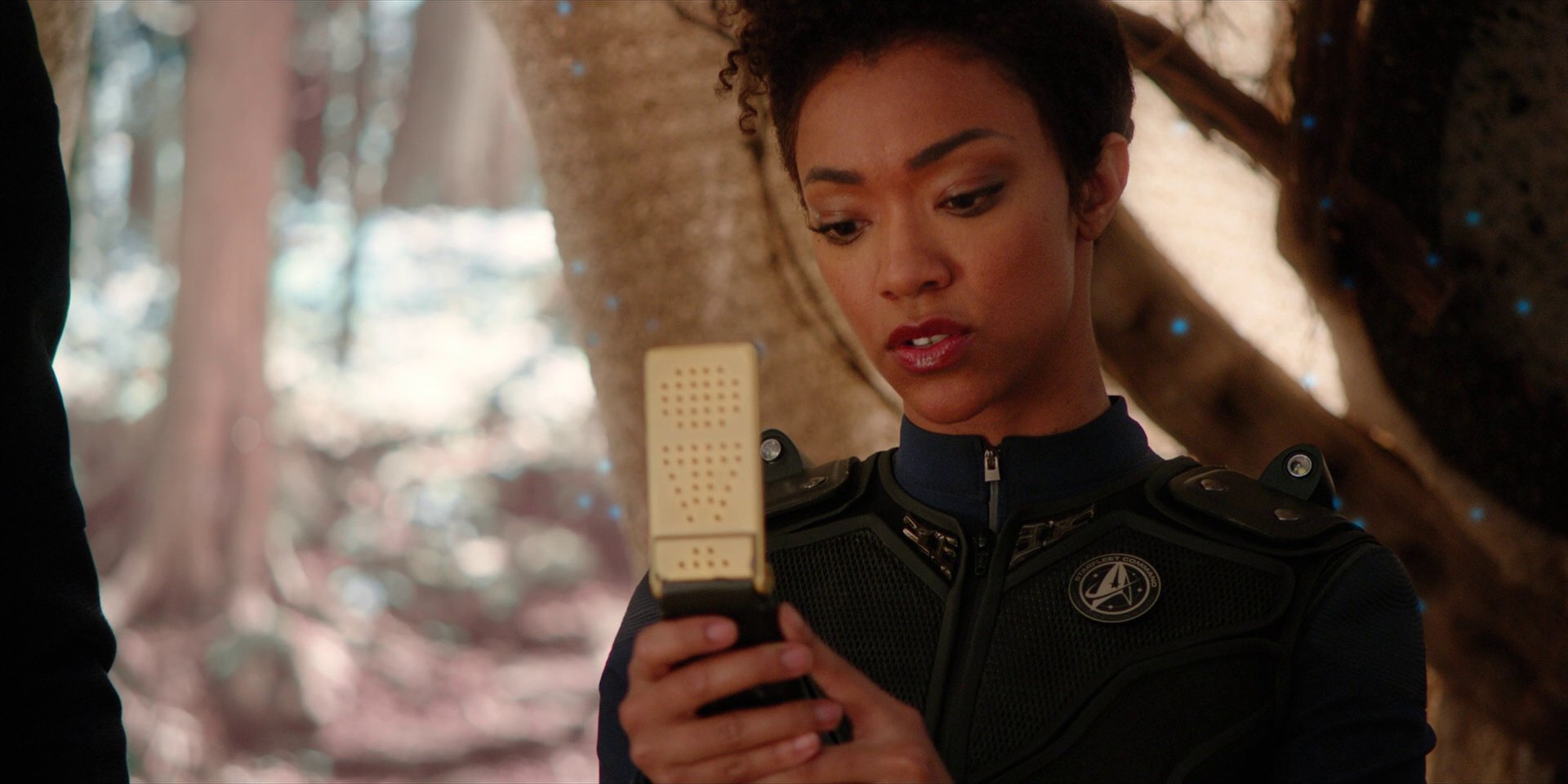 extant_StarTrekDiscovery_1x08-SiVisPacemParaBellum_1275.jpg