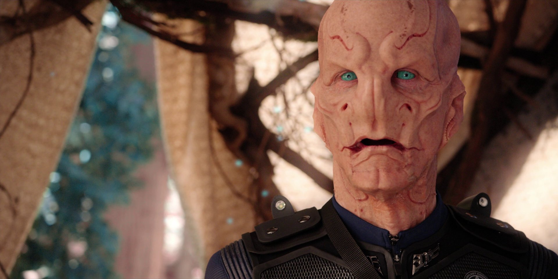 extant_StarTrekDiscovery_1x08-SiVisPacemParaBellum_1280.jpg