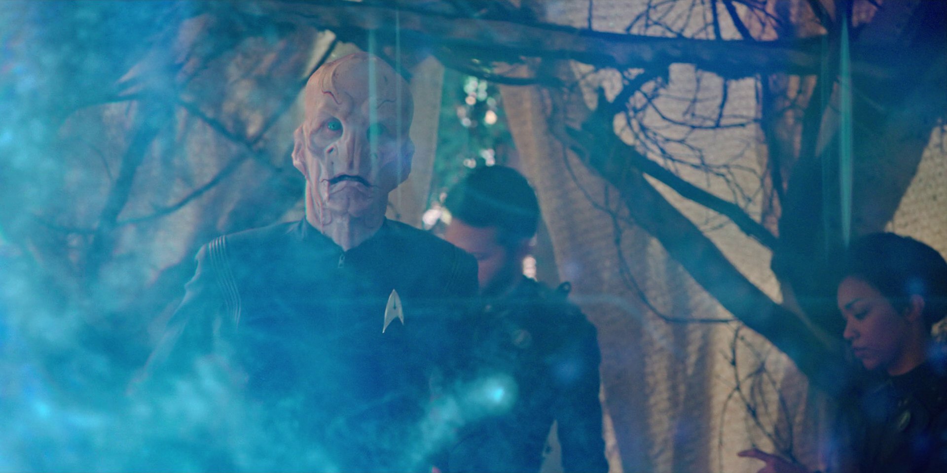 extant_StarTrekDiscovery_1x08-SiVisPacemParaBellum_1304.jpg