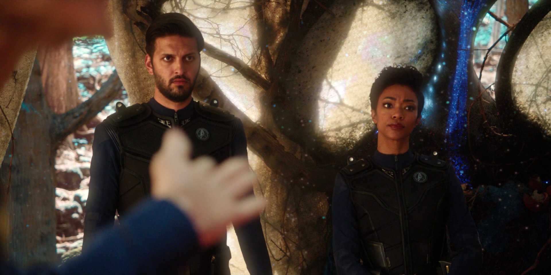 extant_StarTrekDiscovery_1x08-SiVisPacemParaBellum_1321.jpg