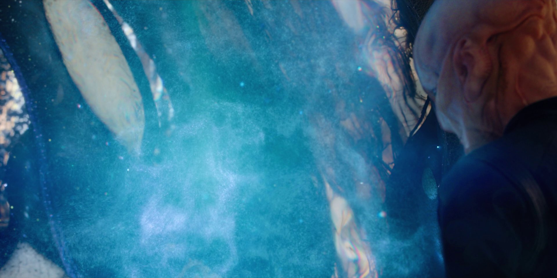extant_StarTrekDiscovery_1x08-SiVisPacemParaBellum_1329.jpg