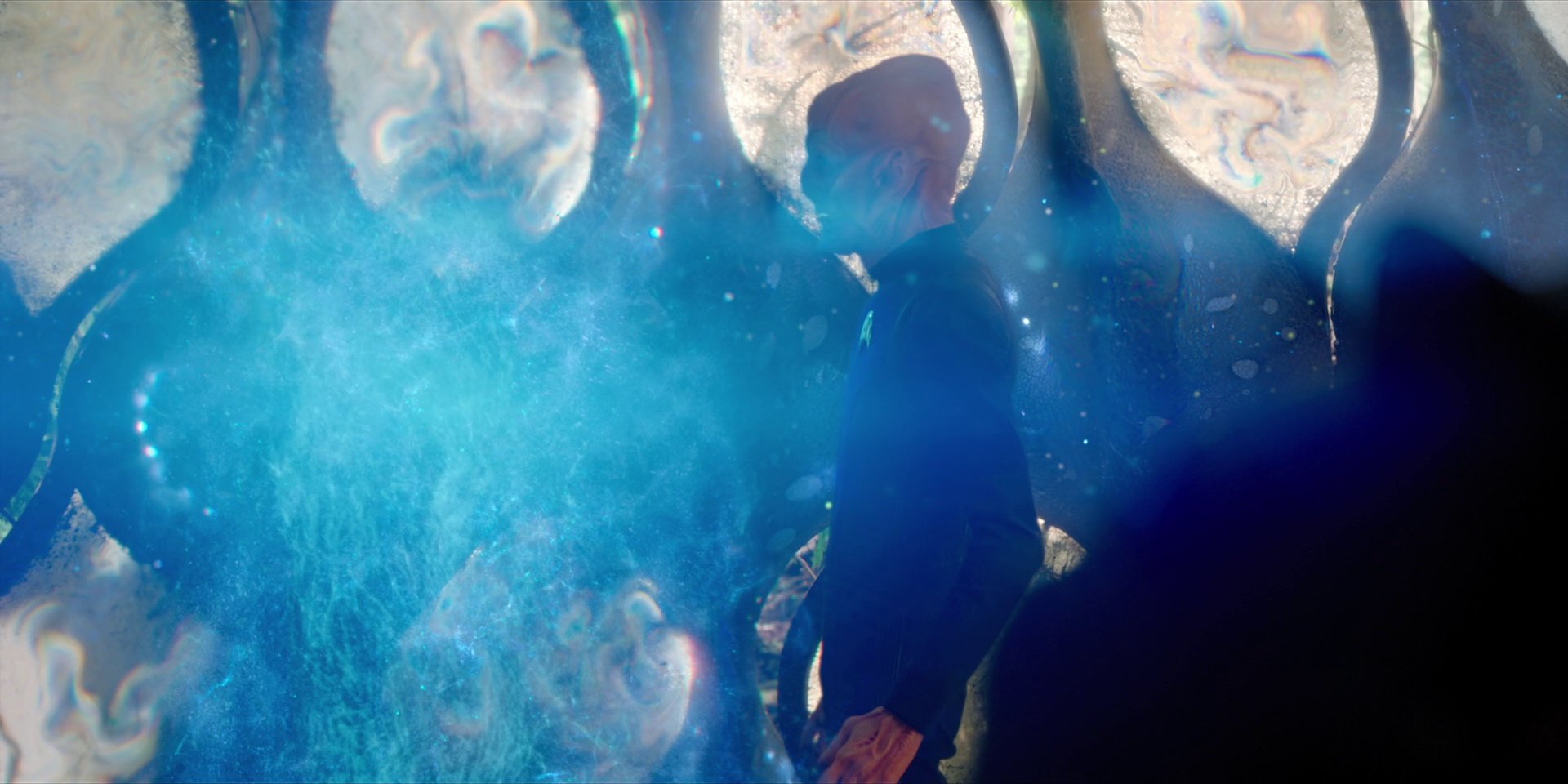 extant_StarTrekDiscovery_1x08-SiVisPacemParaBellum_1331.jpg