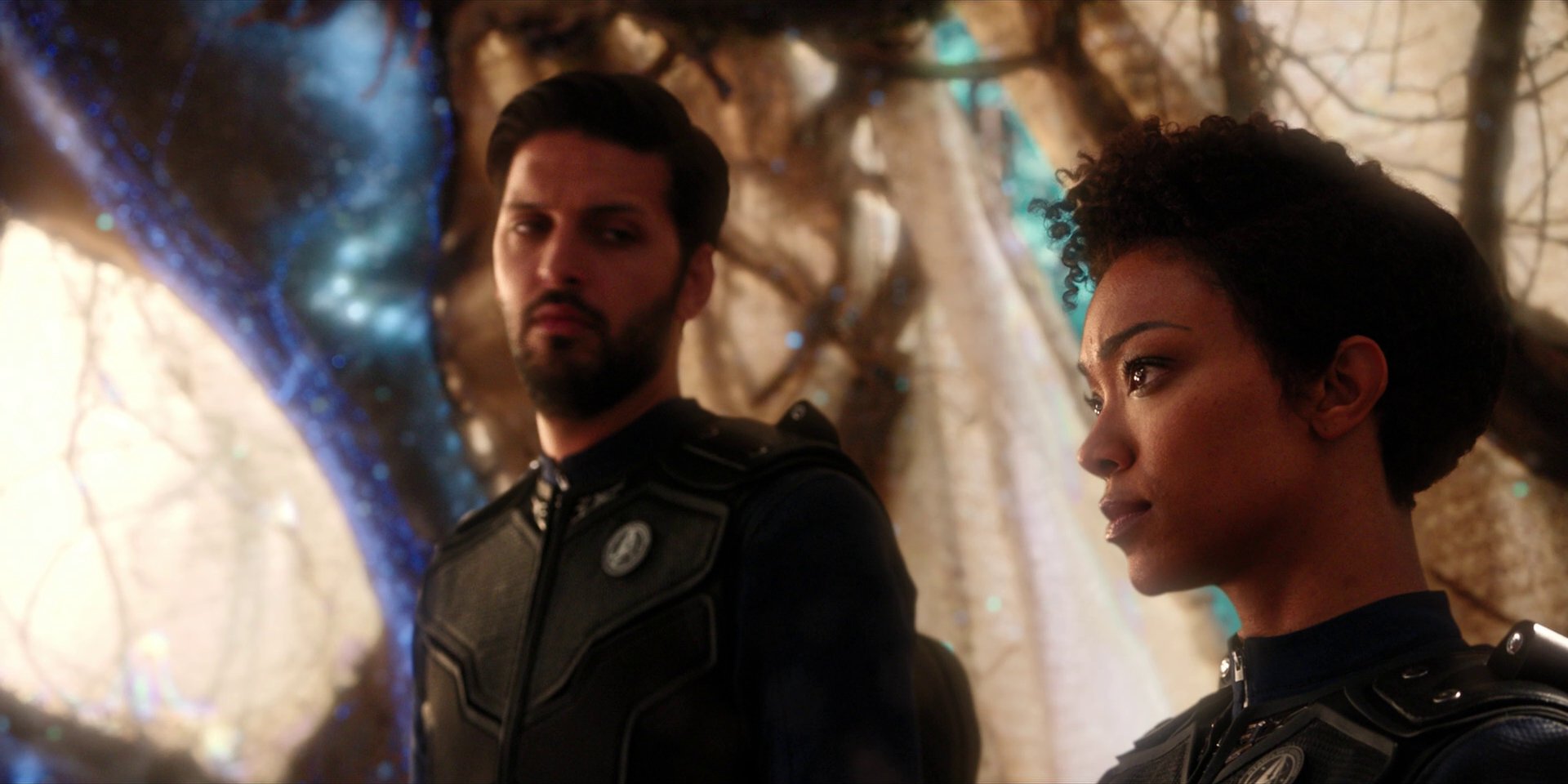 extant_StarTrekDiscovery_1x08-SiVisPacemParaBellum_1335.jpg