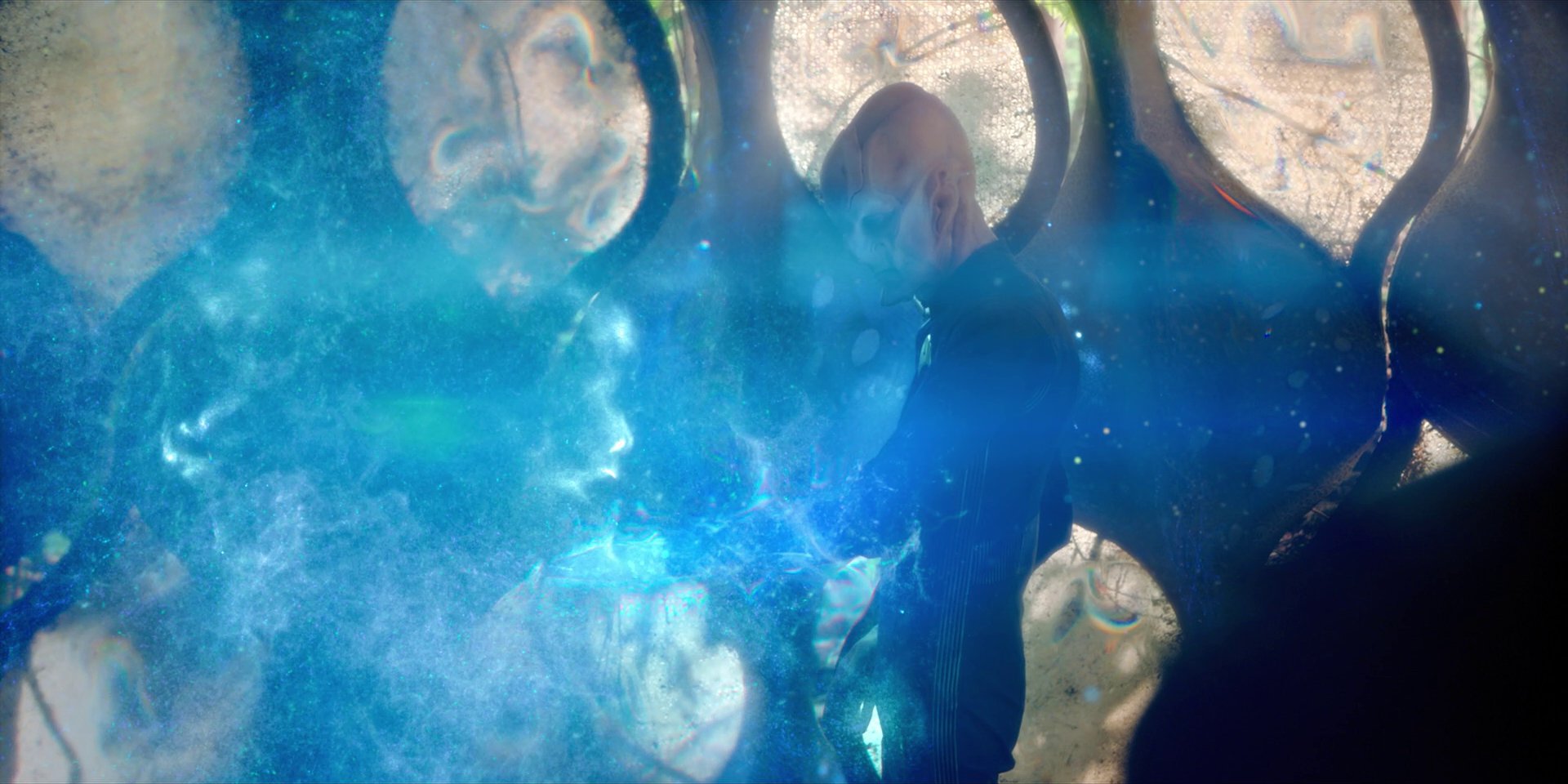 extant_StarTrekDiscovery_1x08-SiVisPacemParaBellum_1342.jpg