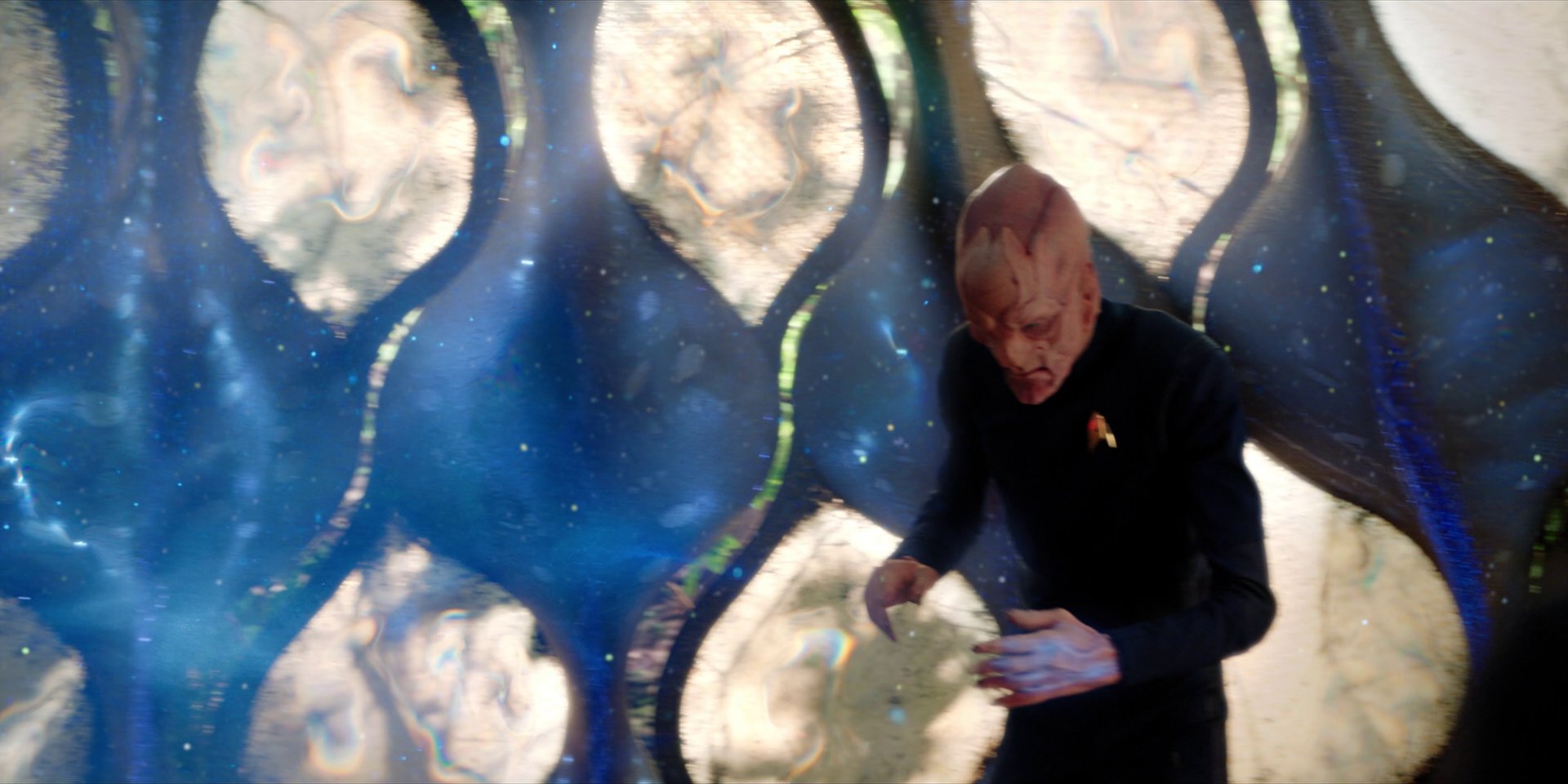 extant_StarTrekDiscovery_1x08-SiVisPacemParaBellum_1347.jpg