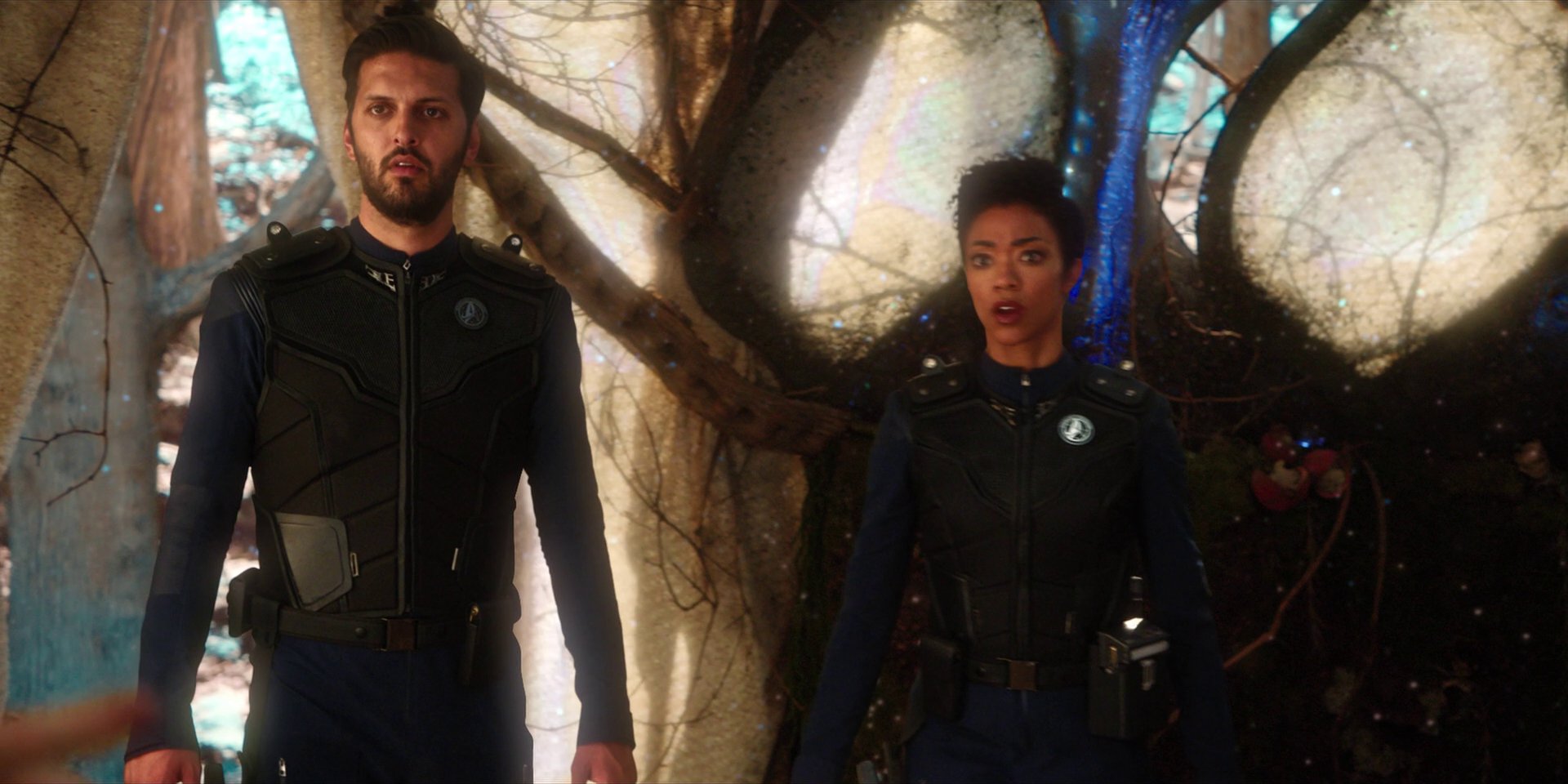 extant_StarTrekDiscovery_1x08-SiVisPacemParaBellum_1348.jpg
