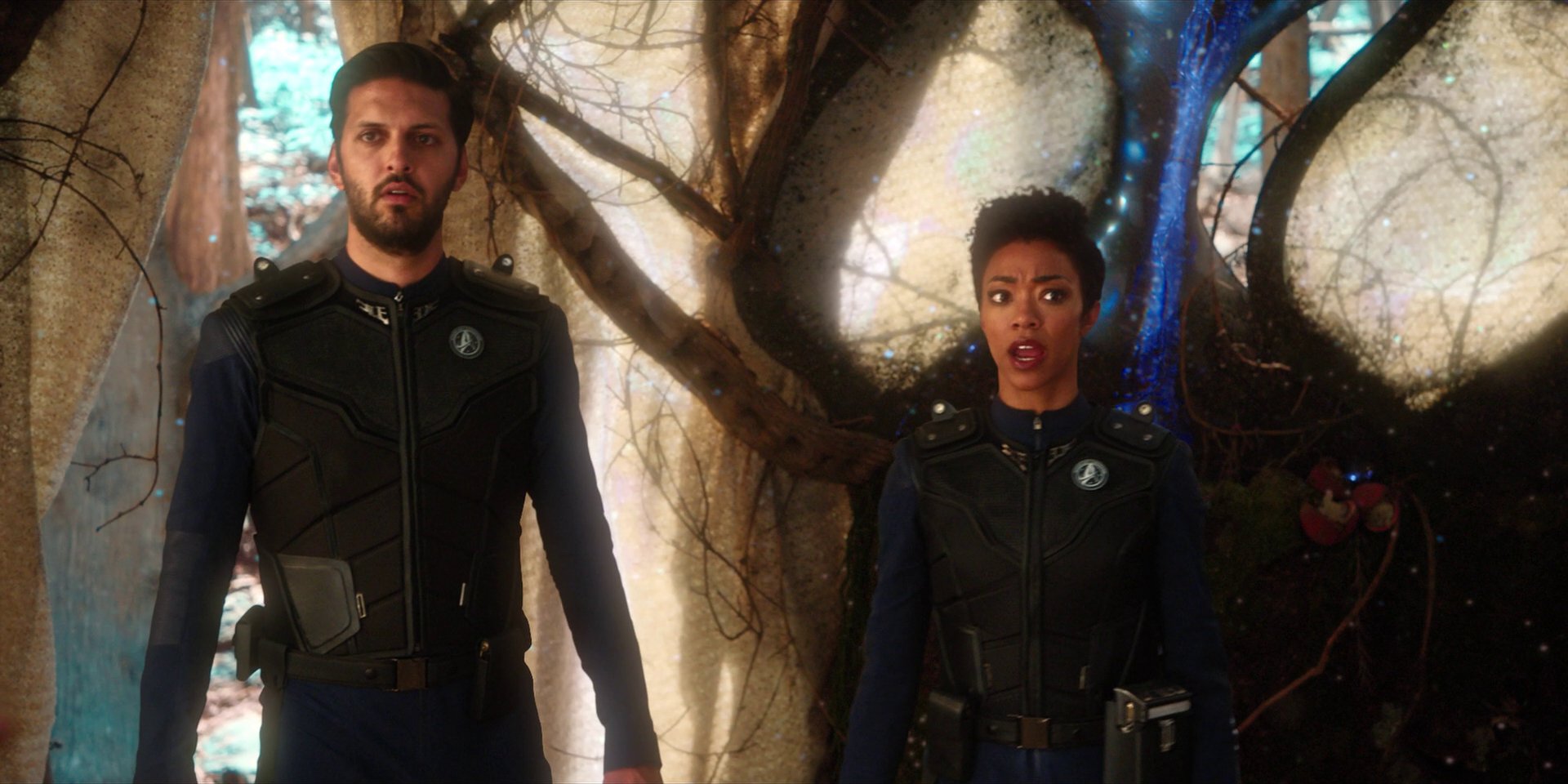 extant_StarTrekDiscovery_1x08-SiVisPacemParaBellum_1349.jpg