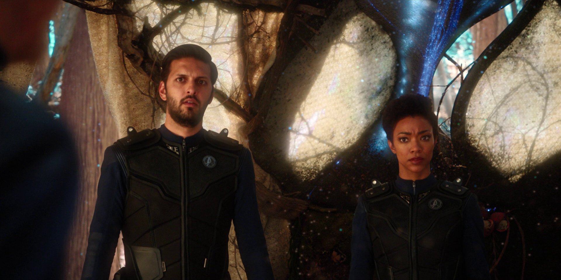 extant_StarTrekDiscovery_1x08-SiVisPacemParaBellum_1362.jpg