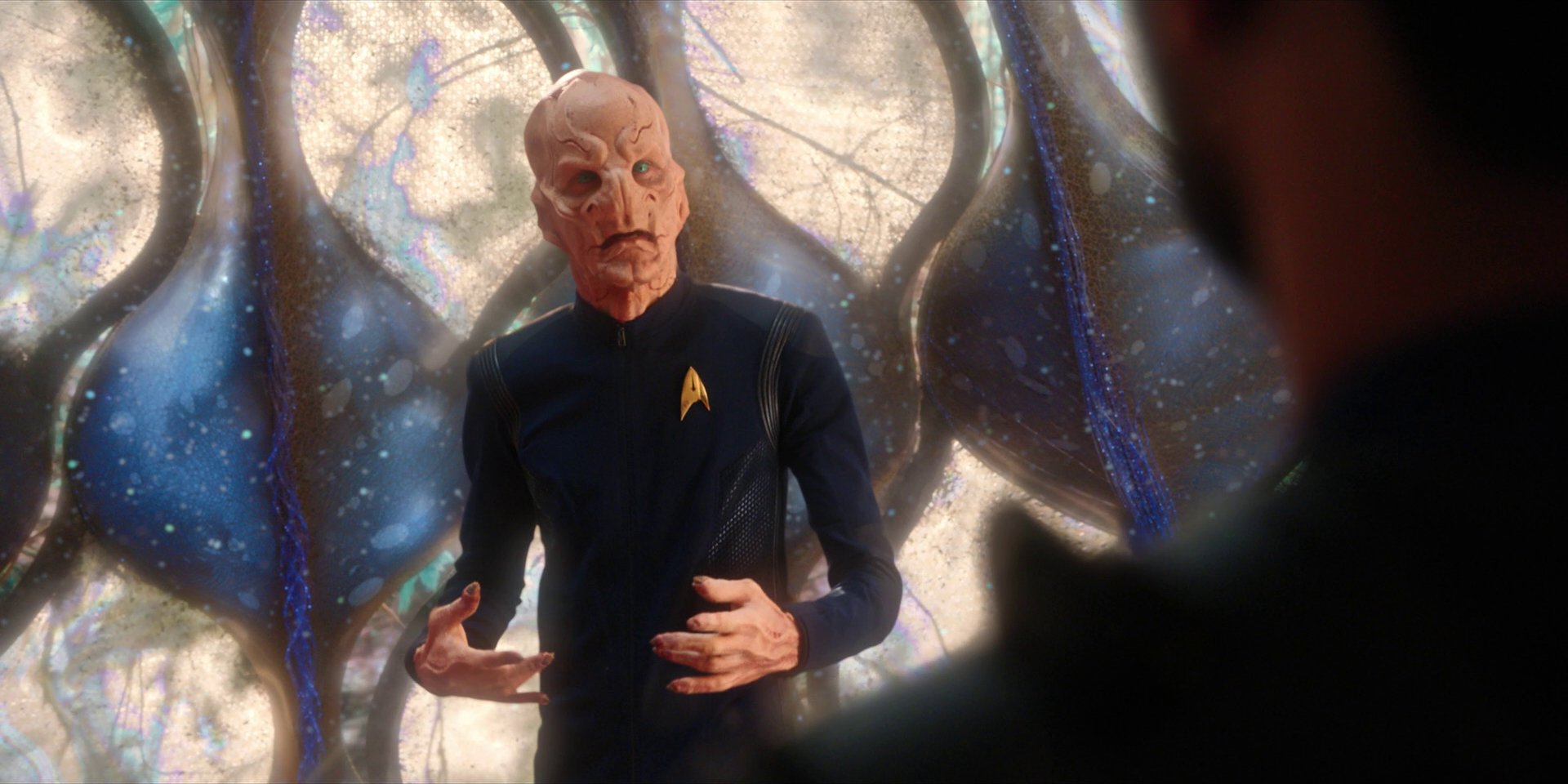 extant_StarTrekDiscovery_1x08-SiVisPacemParaBellum_1364.jpg