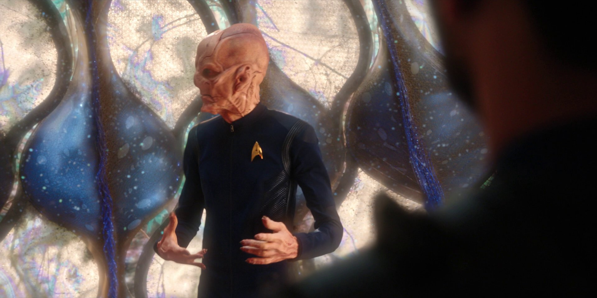 extant_StarTrekDiscovery_1x08-SiVisPacemParaBellum_1366.jpg
