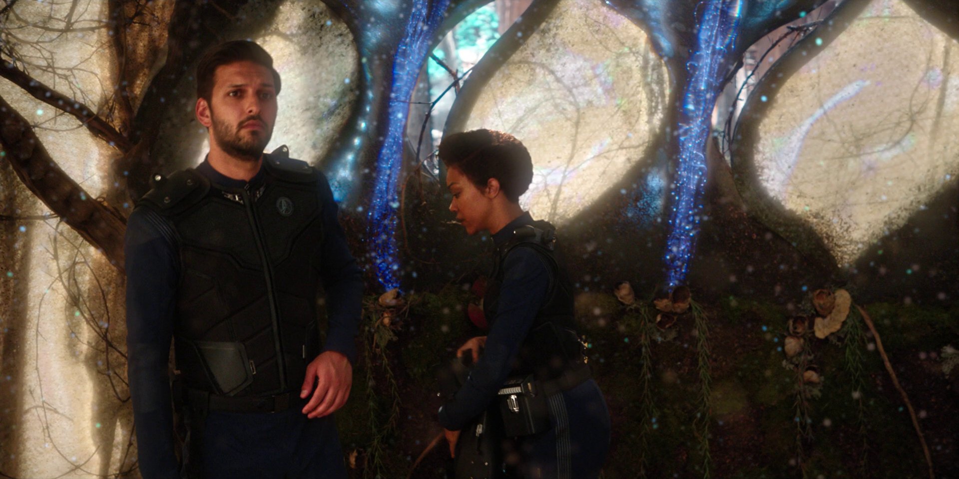 extant_StarTrekDiscovery_1x08-SiVisPacemParaBellum_1376.jpg