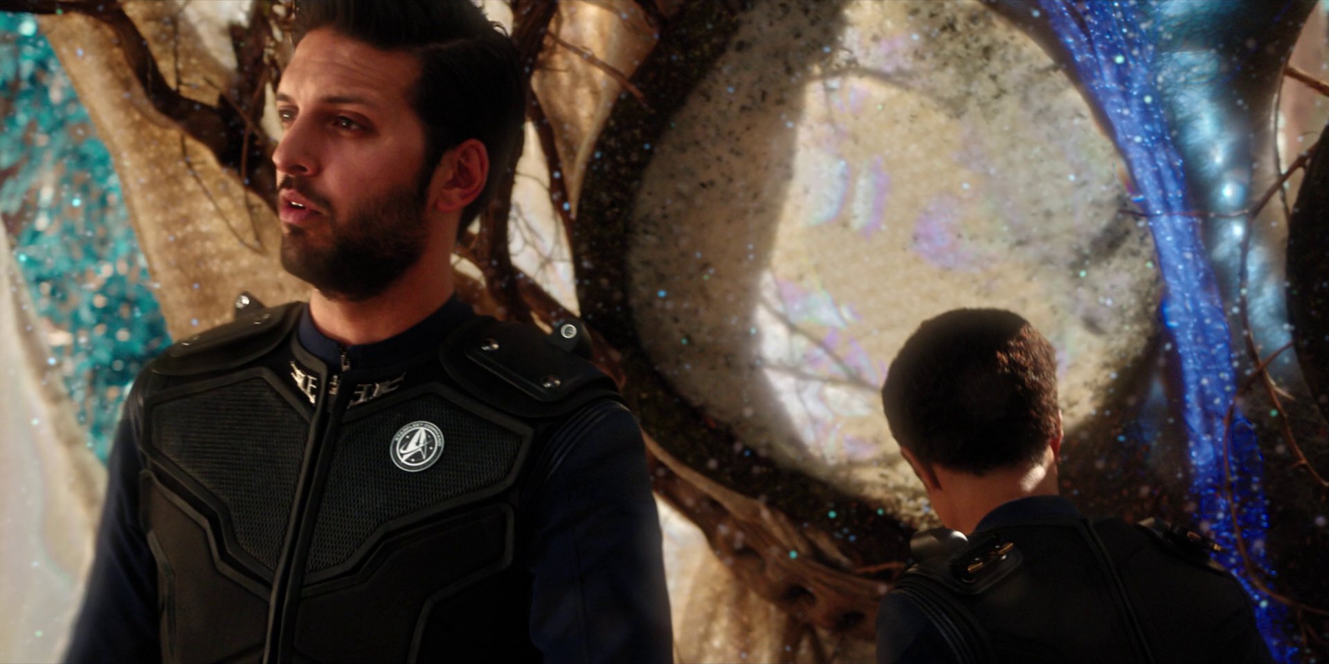 extant_StarTrekDiscovery_1x08-SiVisPacemParaBellum_1378.jpg