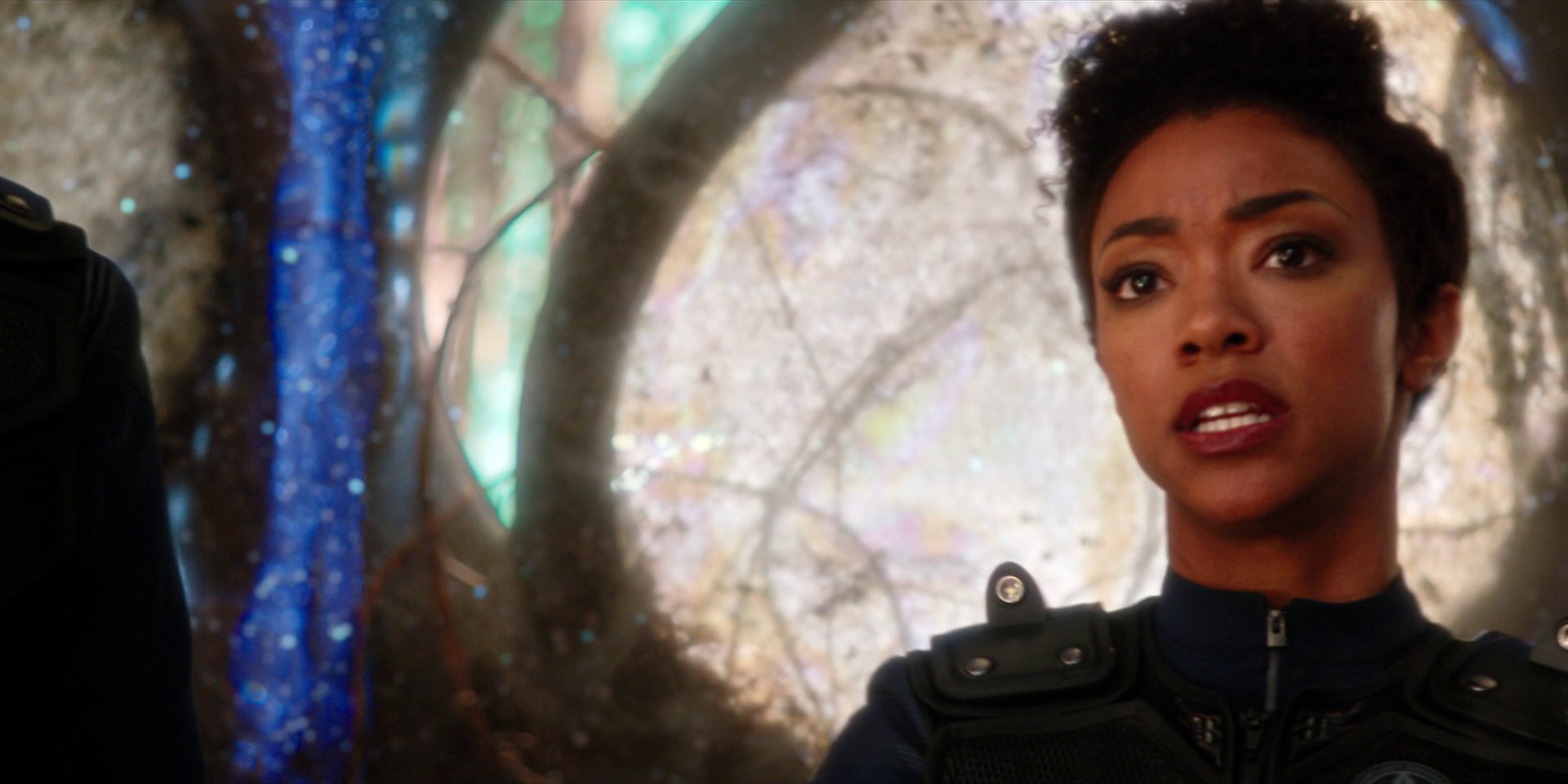 extant_StarTrekDiscovery_1x08-SiVisPacemParaBellum_1387.jpg
