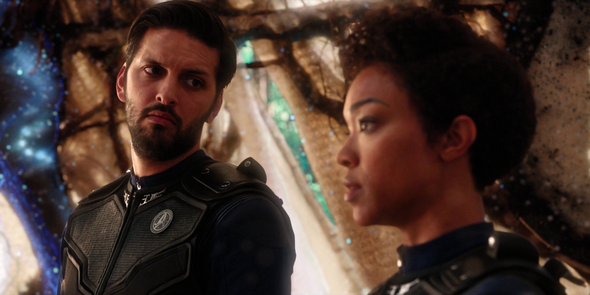 extant_StarTrekDiscovery_1x08-SiVisPacemParaBellum_1404.jpg