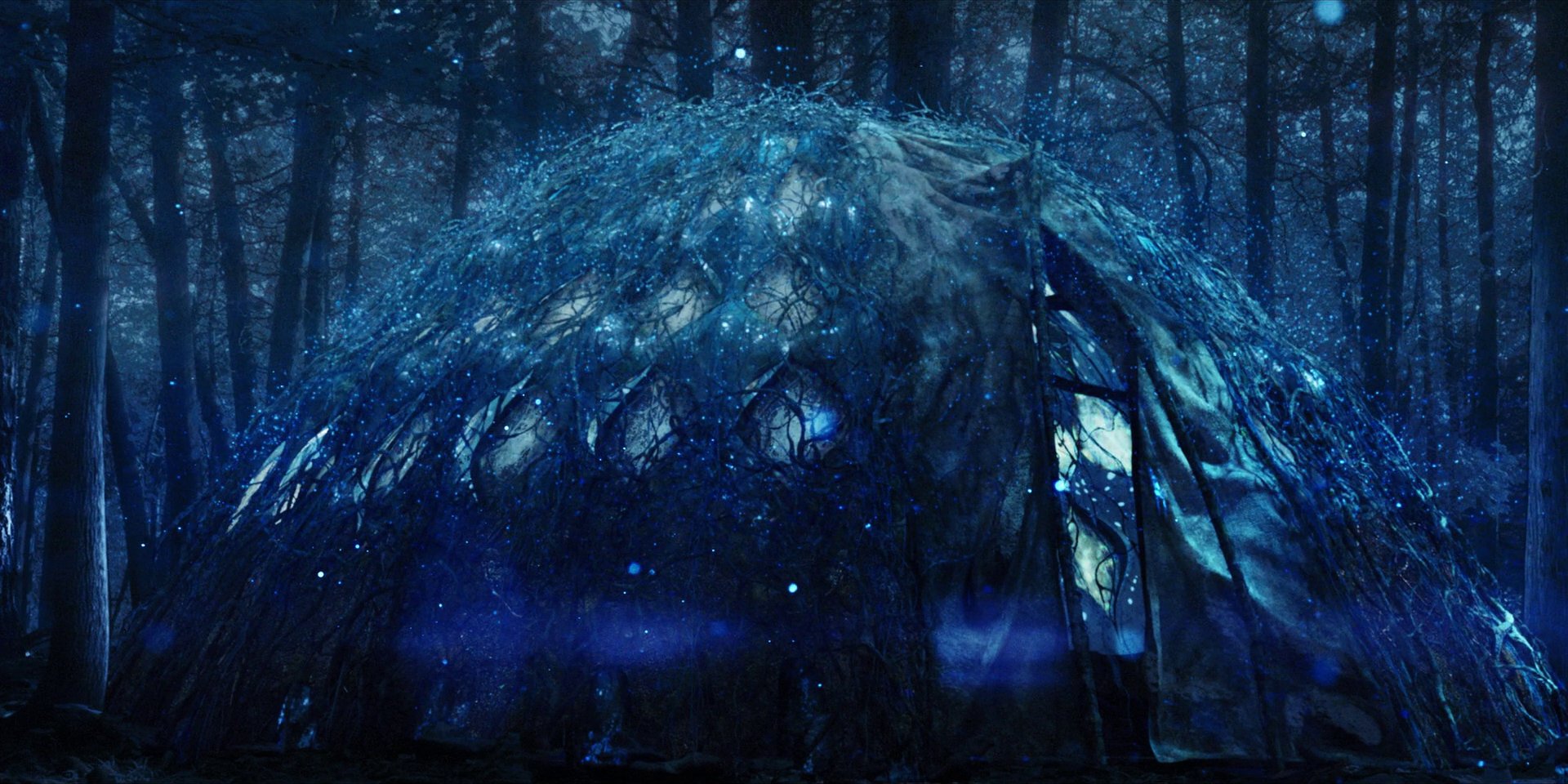 extant_StarTrekDiscovery_1x08-SiVisPacemParaBellum_1533.jpg