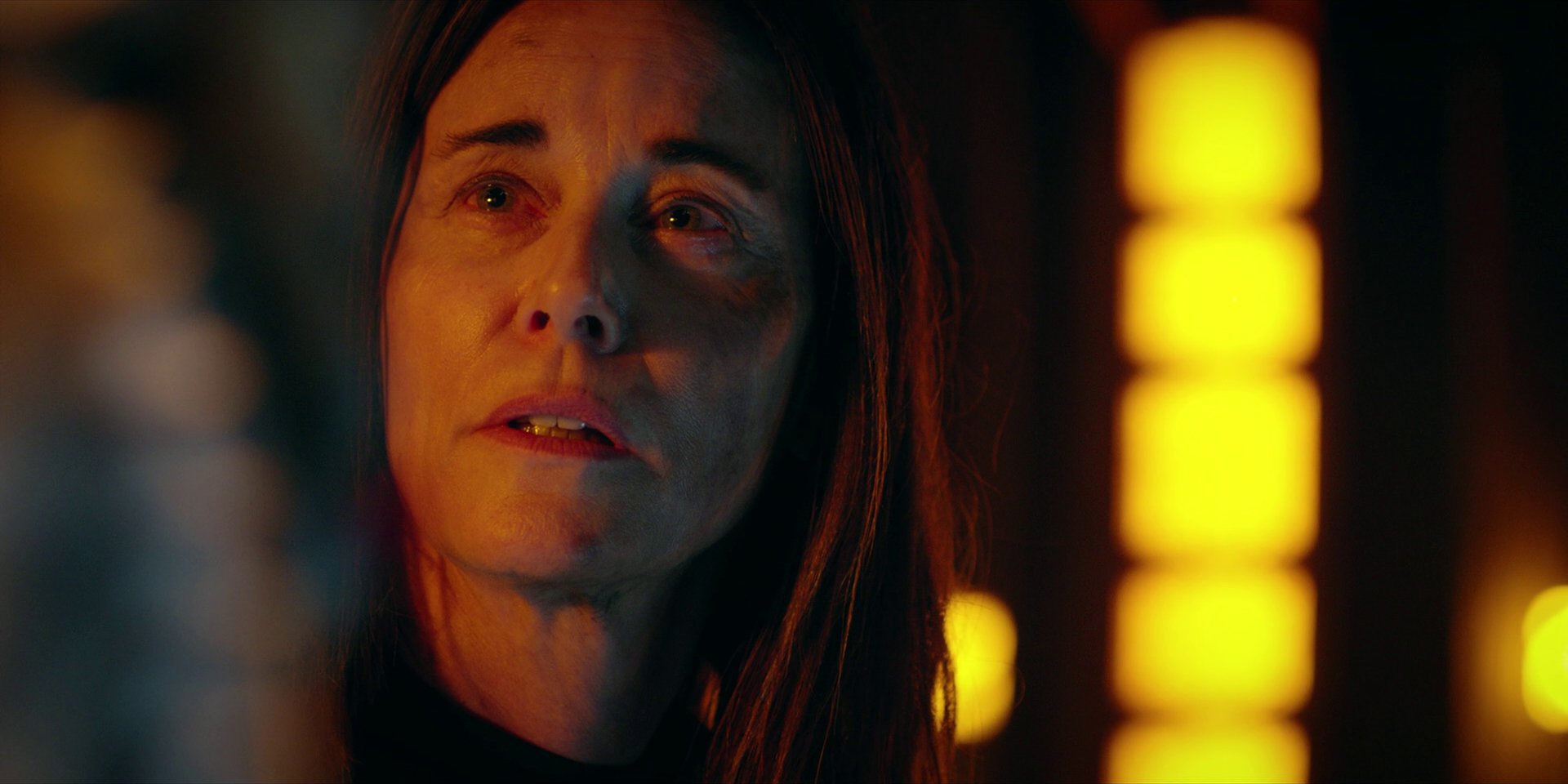 extant_StarTrekDiscovery_1x08-SiVisPacemParaBellum_1997.jpg