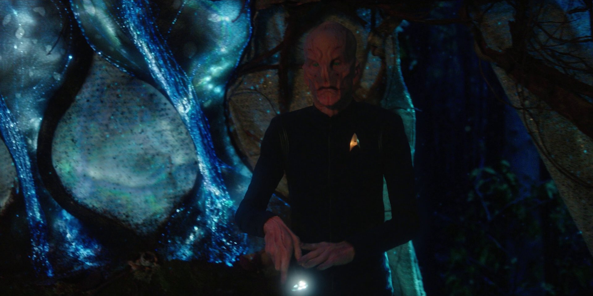 extant_StarTrekDiscovery_1x08-SiVisPacemParaBellum_2051.jpg