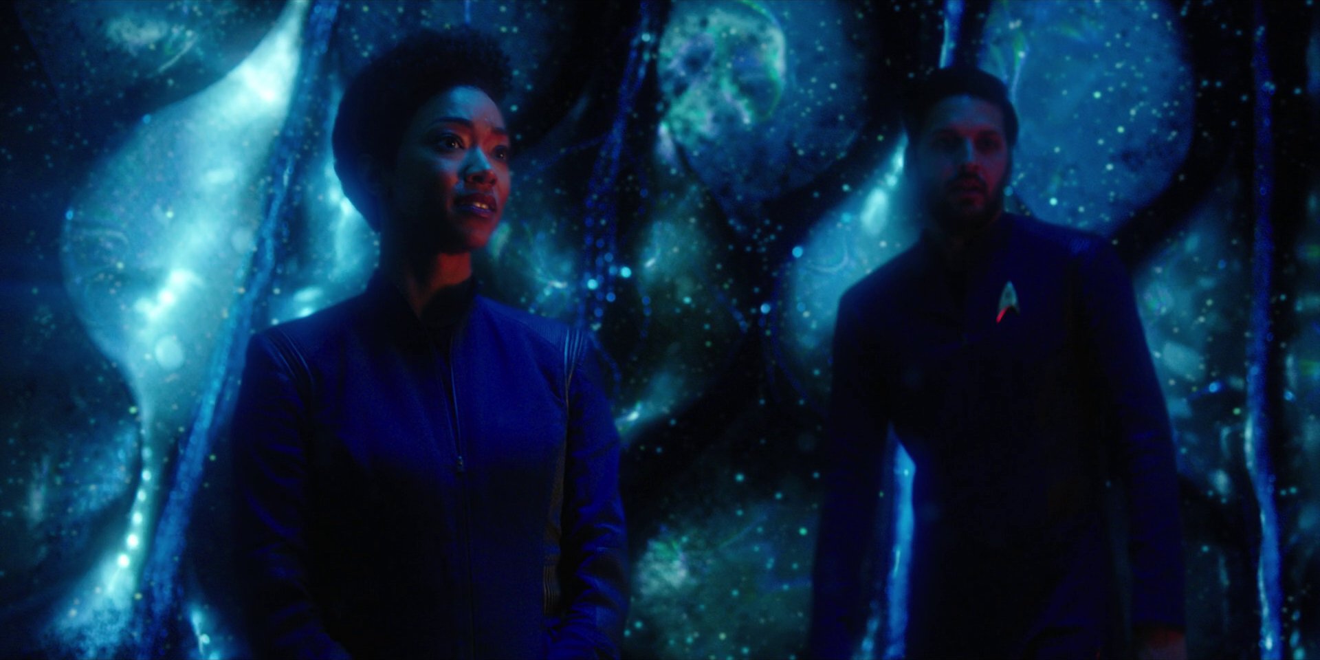 extant_StarTrekDiscovery_1x08-SiVisPacemParaBellum_2052.jpg