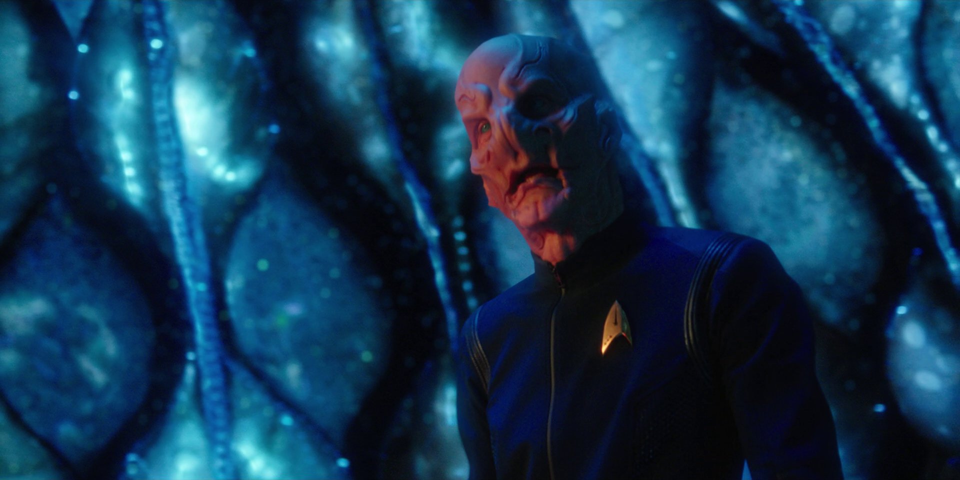 extant_StarTrekDiscovery_1x08-SiVisPacemParaBellum_2056.jpg
