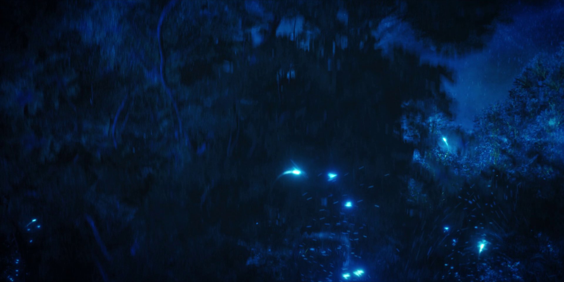 extant_StarTrekDiscovery_1x08-SiVisPacemParaBellum_2086.jpg