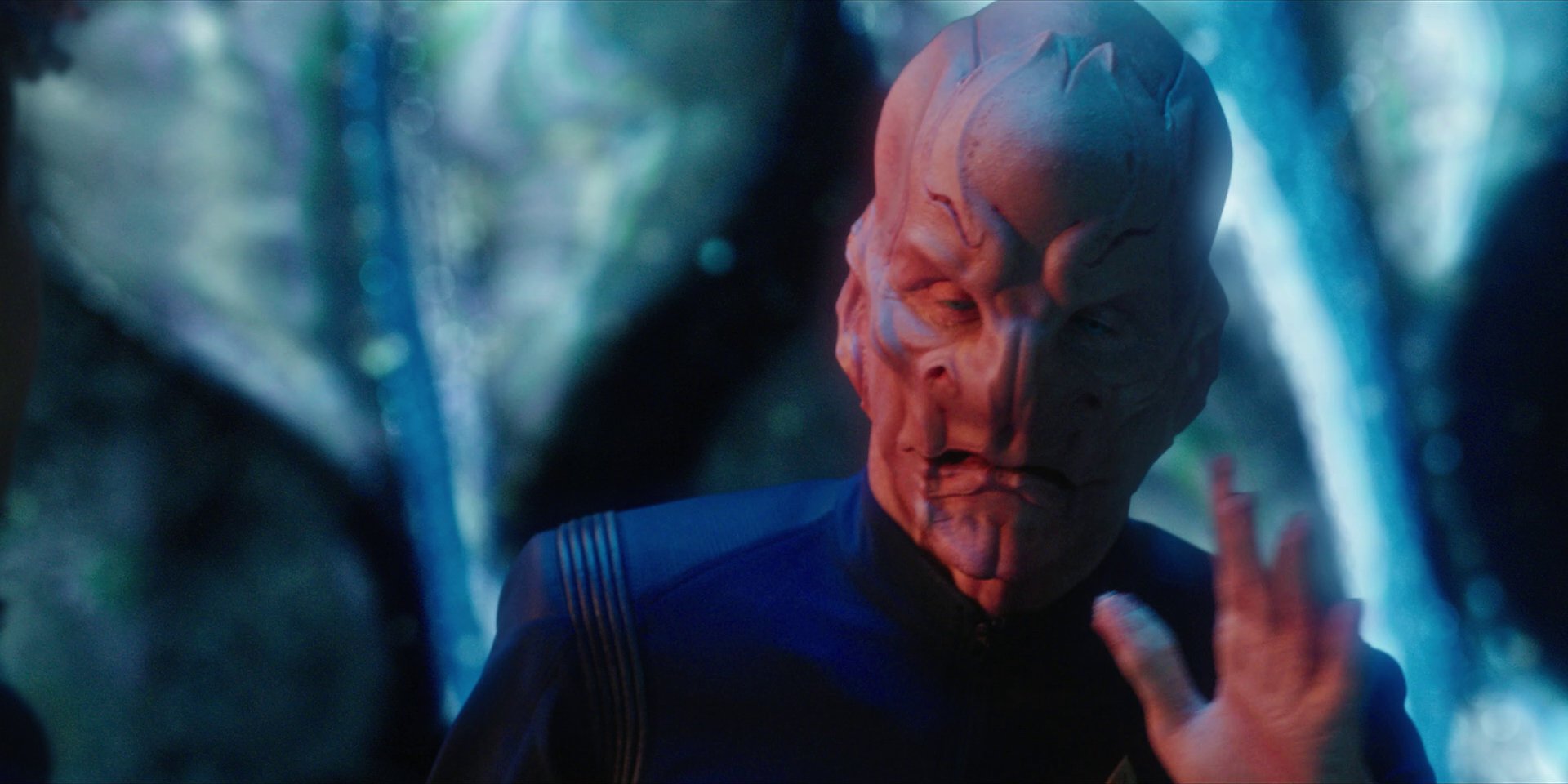 extant_StarTrekDiscovery_1x08-SiVisPacemParaBellum_2158.jpg