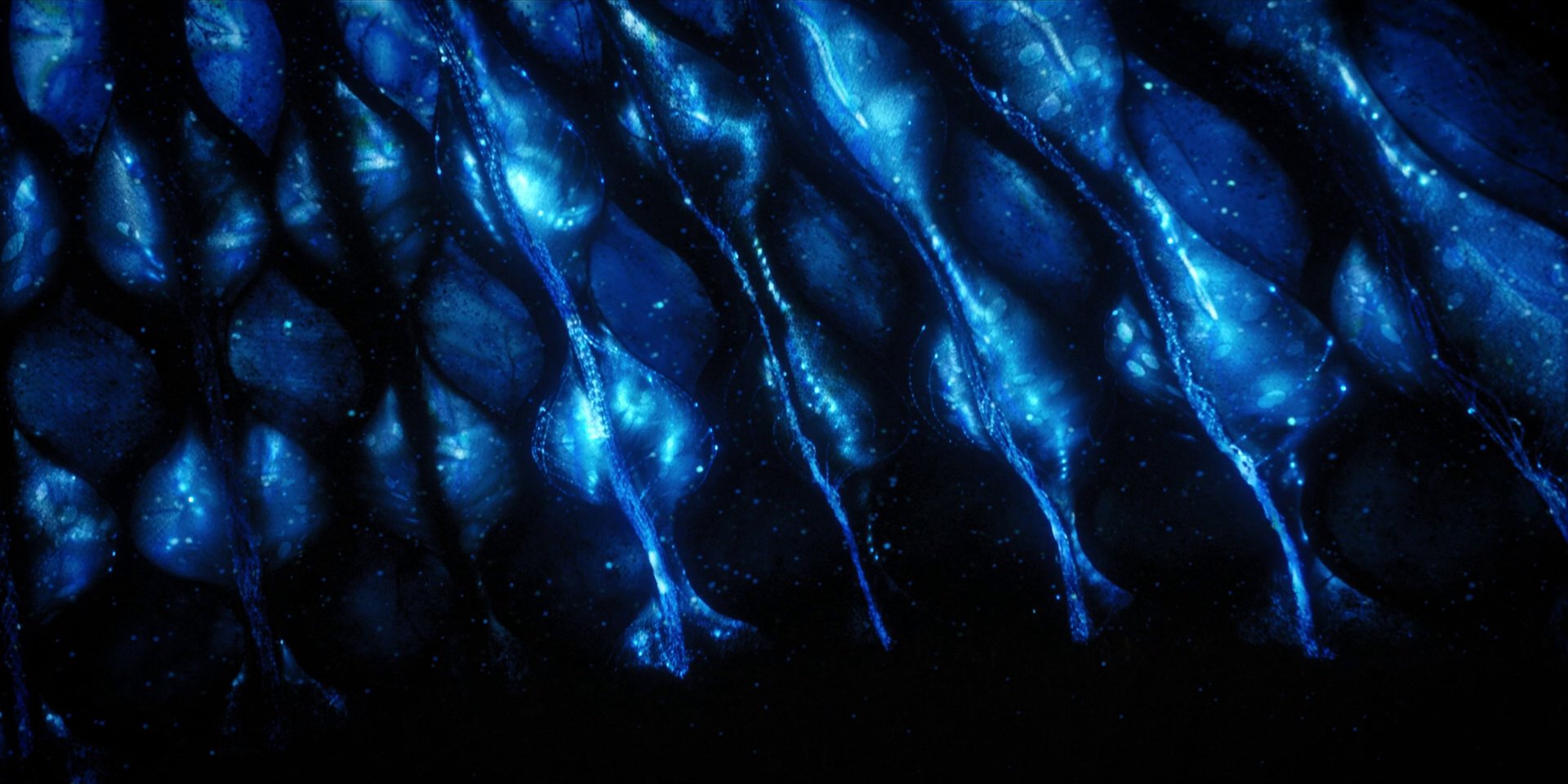 extant_StarTrekDiscovery_1x08-SiVisPacemParaBellum_2186.jpg