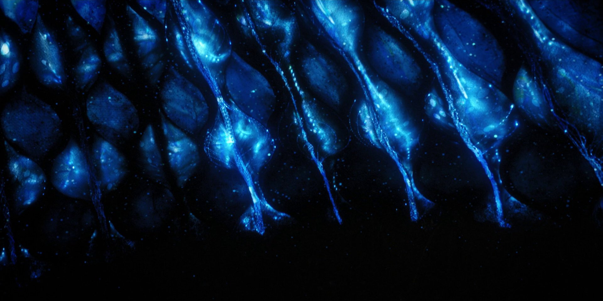 extant_StarTrekDiscovery_1x08-SiVisPacemParaBellum_2187.jpg