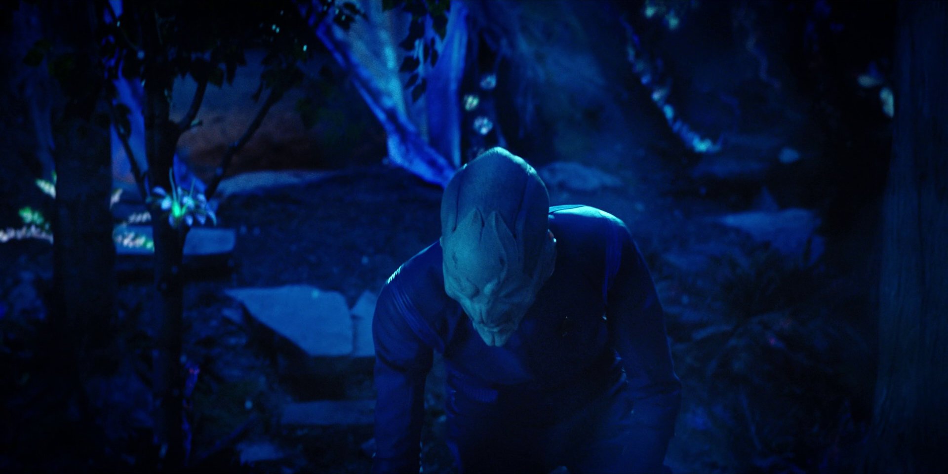extant_StarTrekDiscovery_1x08-SiVisPacemParaBellum_2236.jpg