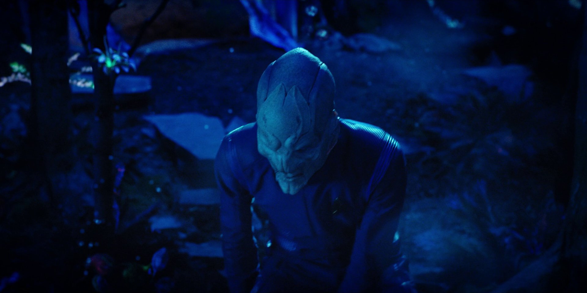extant_StarTrekDiscovery_1x08-SiVisPacemParaBellum_2238.jpg