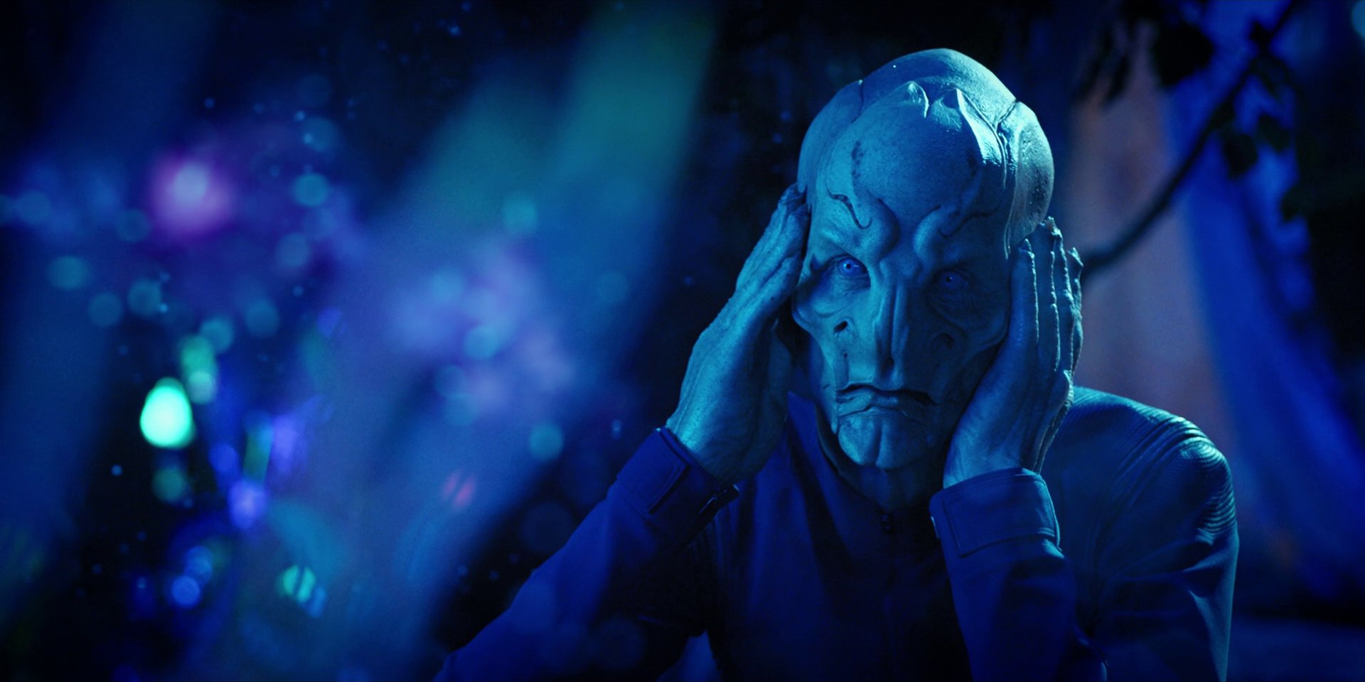 extant_StarTrekDiscovery_1x08-SiVisPacemParaBellum_2245.jpg