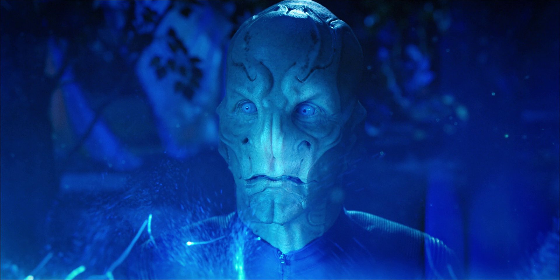 extant_StarTrekDiscovery_1x08-SiVisPacemParaBellum_2268.jpg