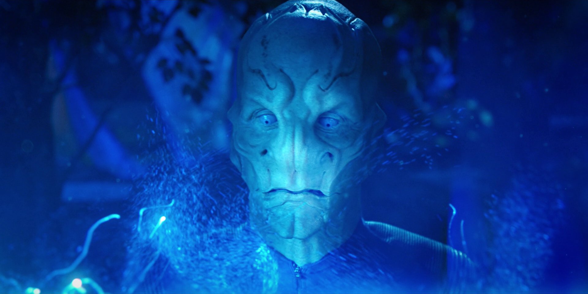 extant_StarTrekDiscovery_1x08-SiVisPacemParaBellum_2269.jpg