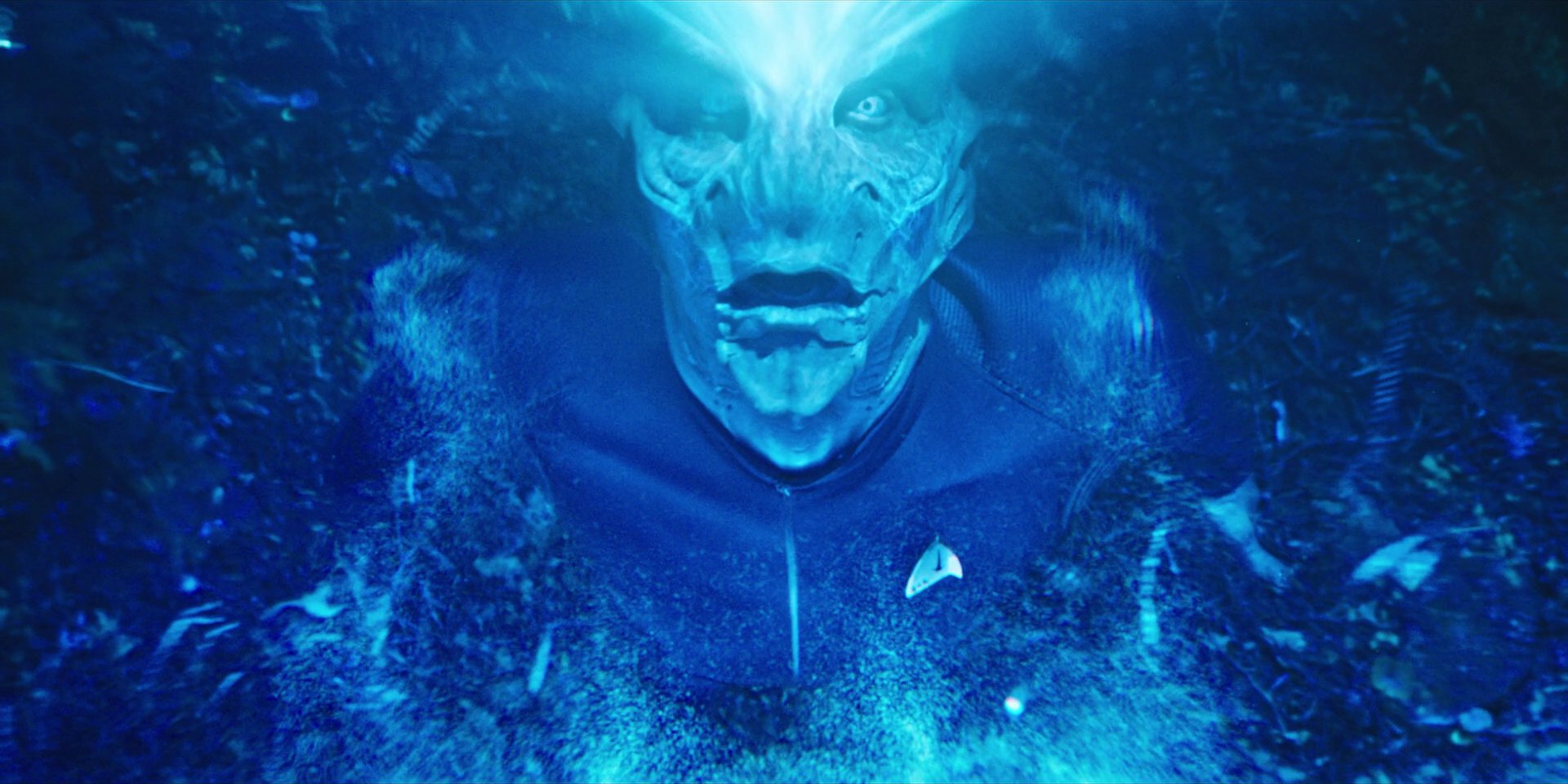 extant_StarTrekDiscovery_1x08-SiVisPacemParaBellum_2275.jpg