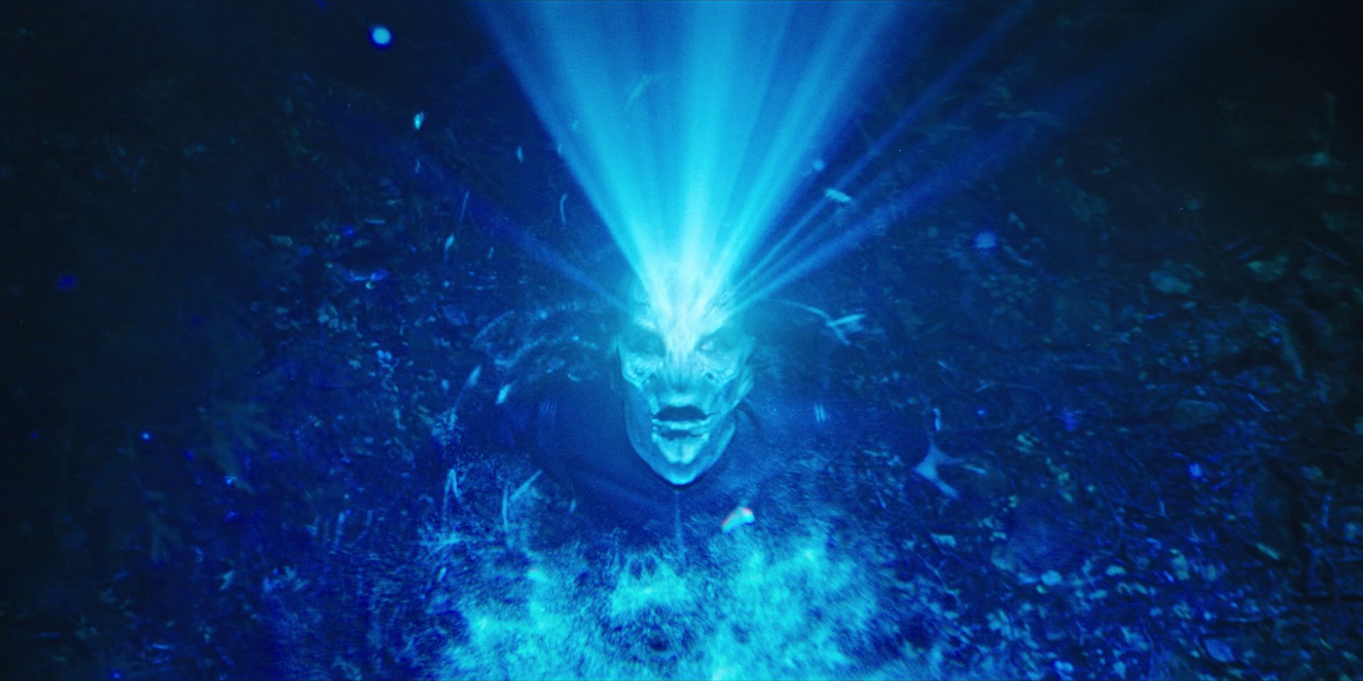 extant_StarTrekDiscovery_1x08-SiVisPacemParaBellum_2277.jpg