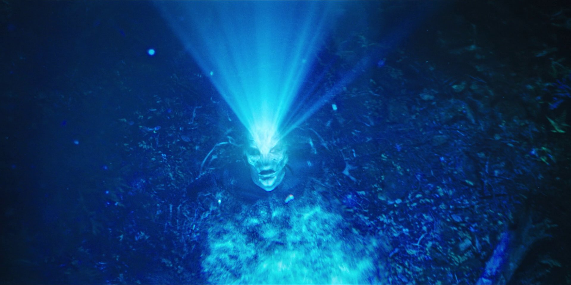 extant_StarTrekDiscovery_1x08-SiVisPacemParaBellum_2278.jpg