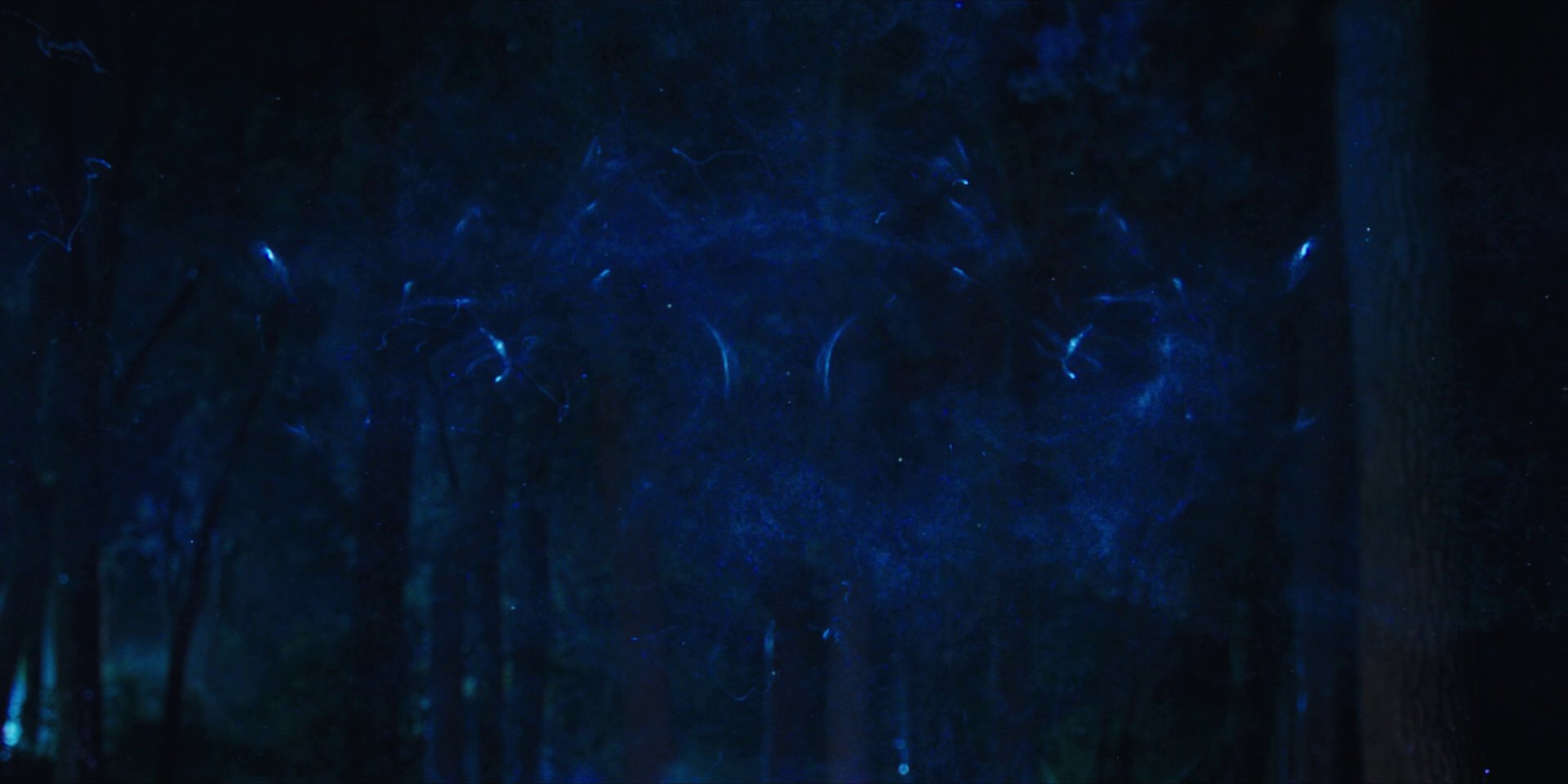 extant_StarTrekDiscovery_1x08-SiVisPacemParaBellum_2326.jpg
