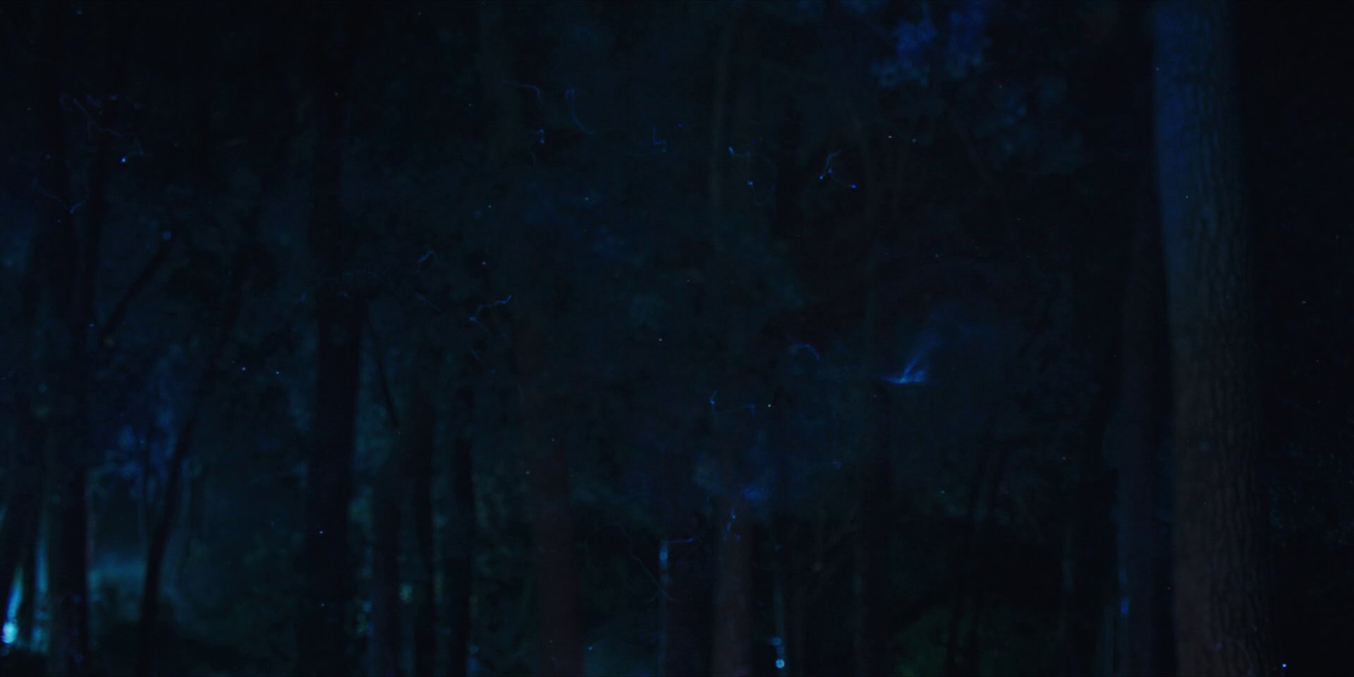 extant_StarTrekDiscovery_1x08-SiVisPacemParaBellum_2327.jpg