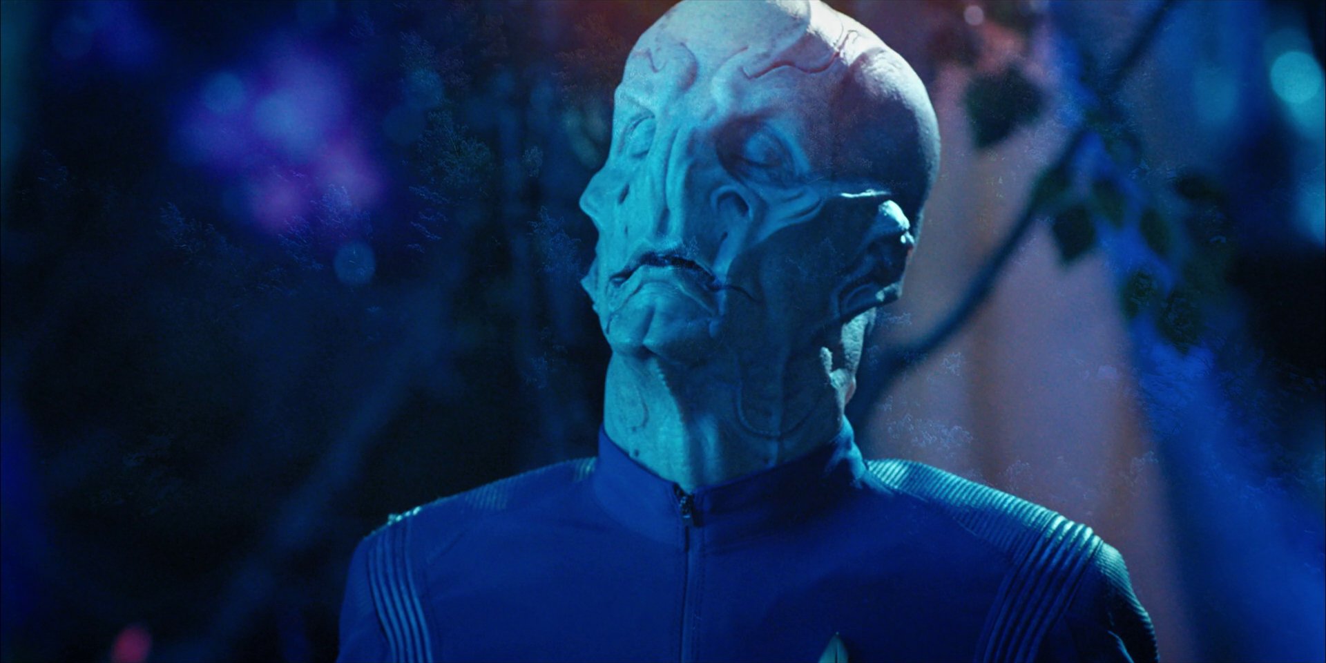 extant_StarTrekDiscovery_1x08-SiVisPacemParaBellum_2336.jpg