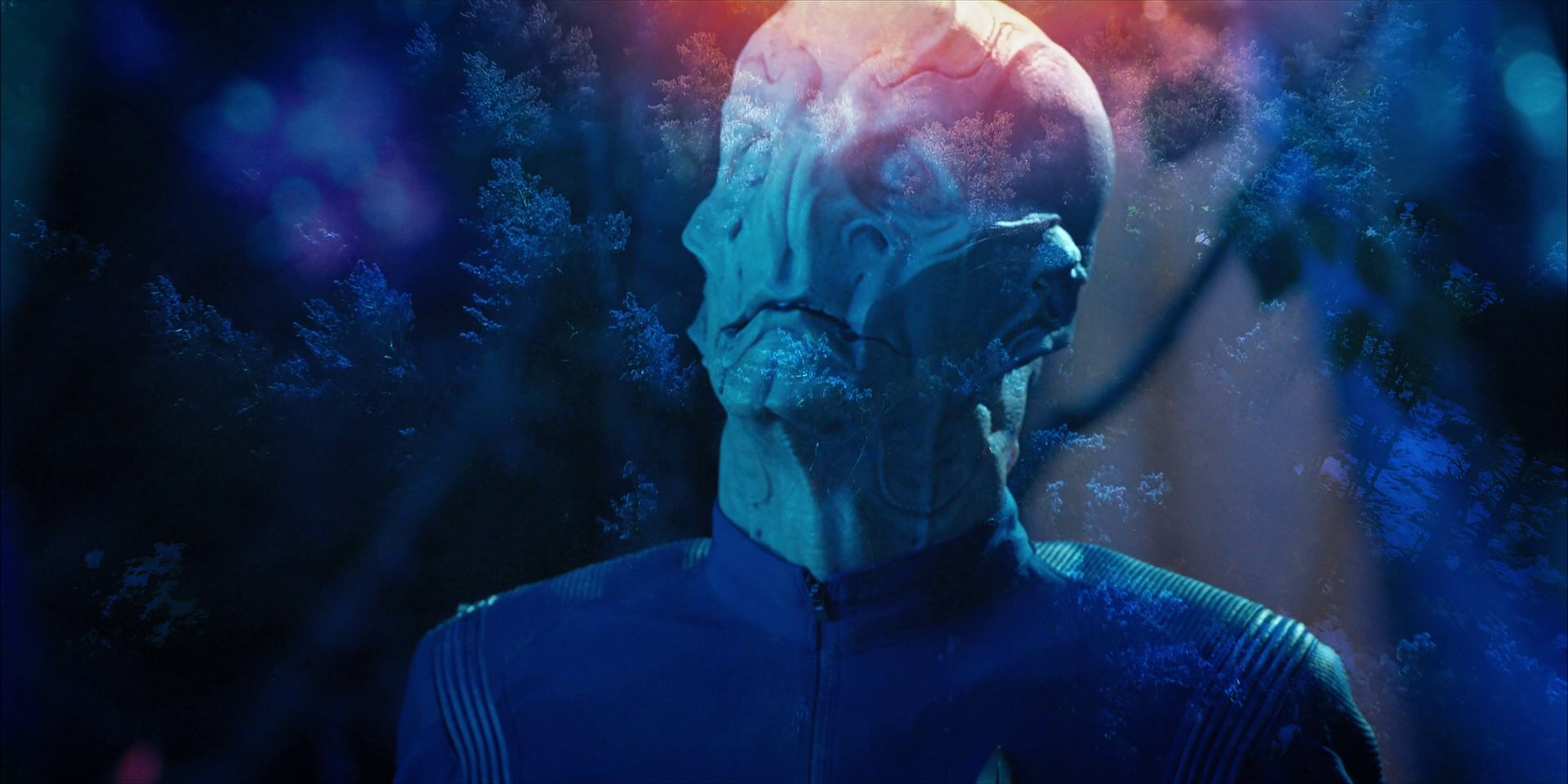 extant_StarTrekDiscovery_1x08-SiVisPacemParaBellum_2337.jpg