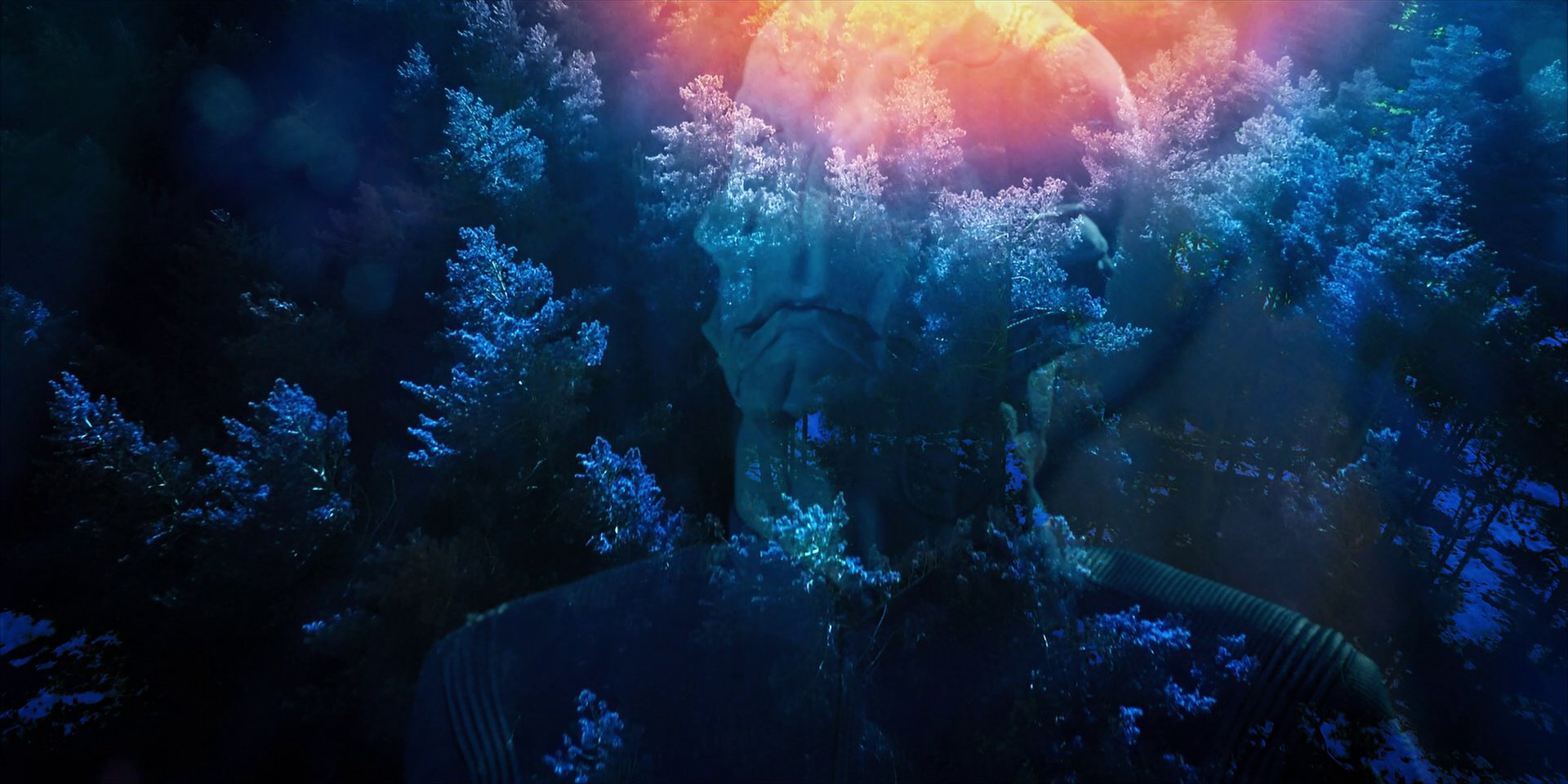 extant_StarTrekDiscovery_1x08-SiVisPacemParaBellum_2339.jpg