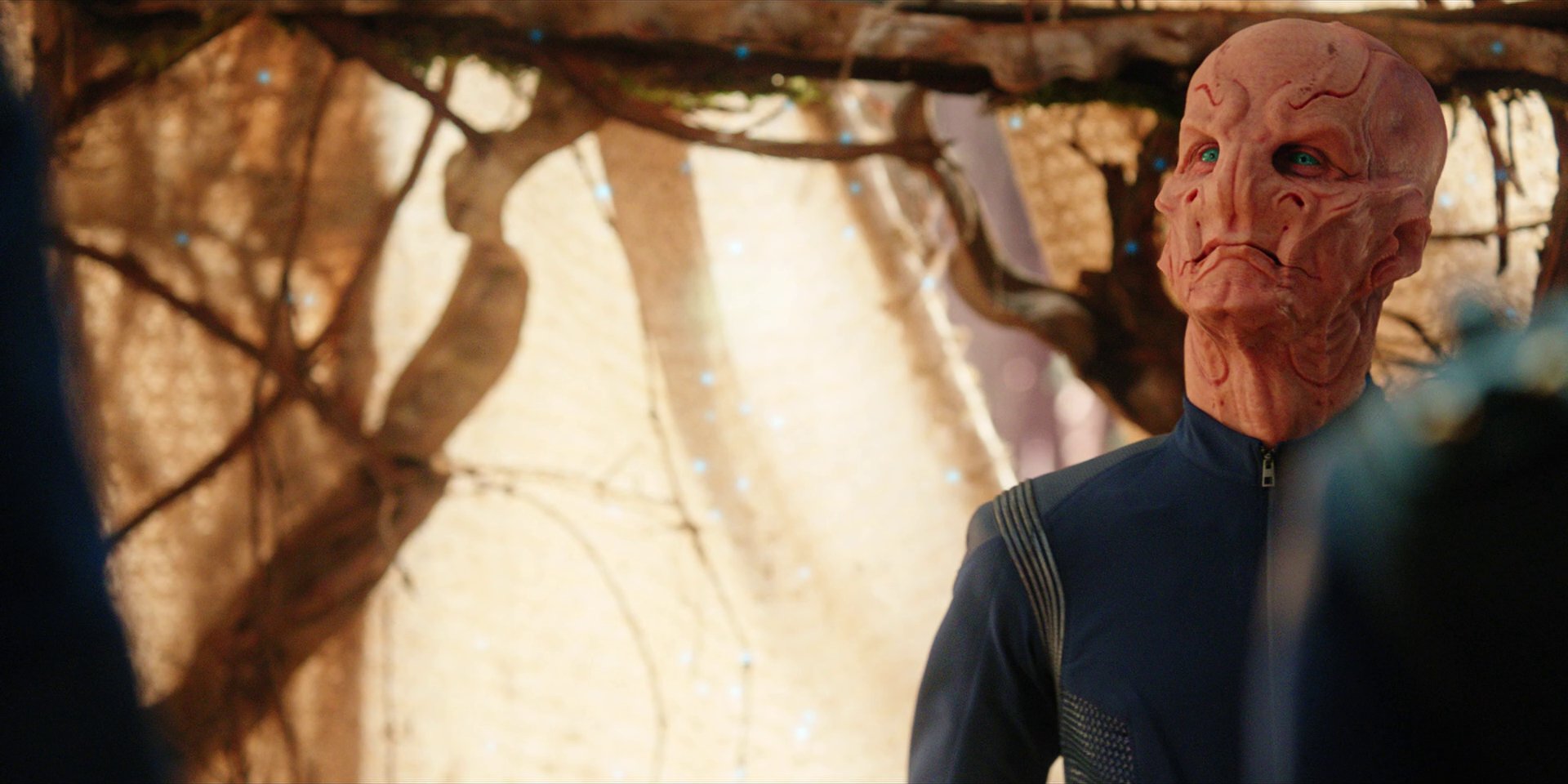 extant_StarTrekDiscovery_1x08-SiVisPacemParaBellum_2357.jpg