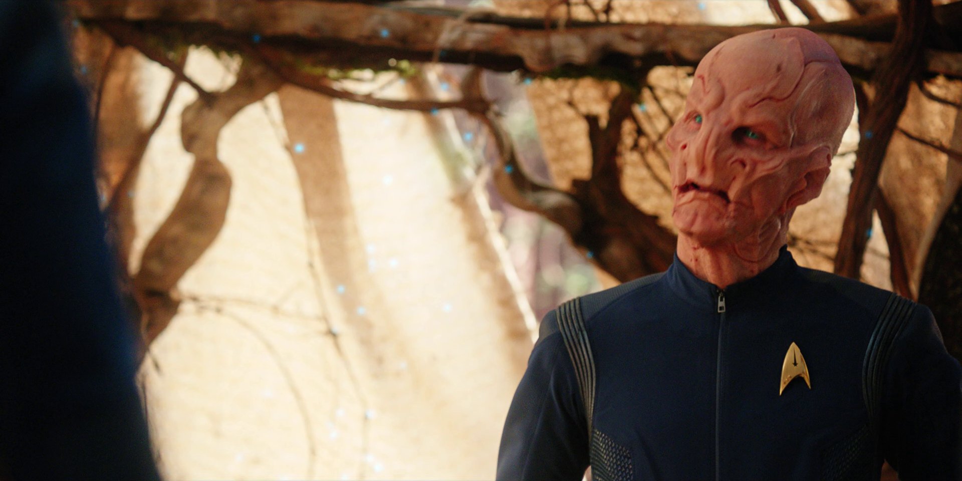 extant_StarTrekDiscovery_1x08-SiVisPacemParaBellum_2359.jpg