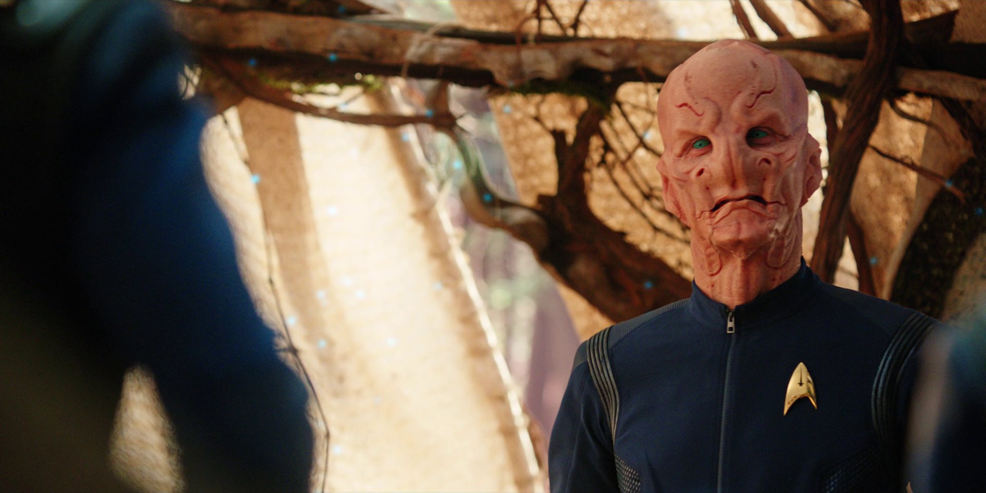 extant_StarTrekDiscovery_1x08-SiVisPacemParaBellum_2362.jpg