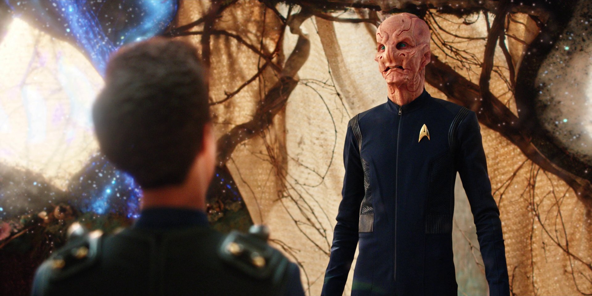 extant_StarTrekDiscovery_1x08-SiVisPacemParaBellum_2391.jpg