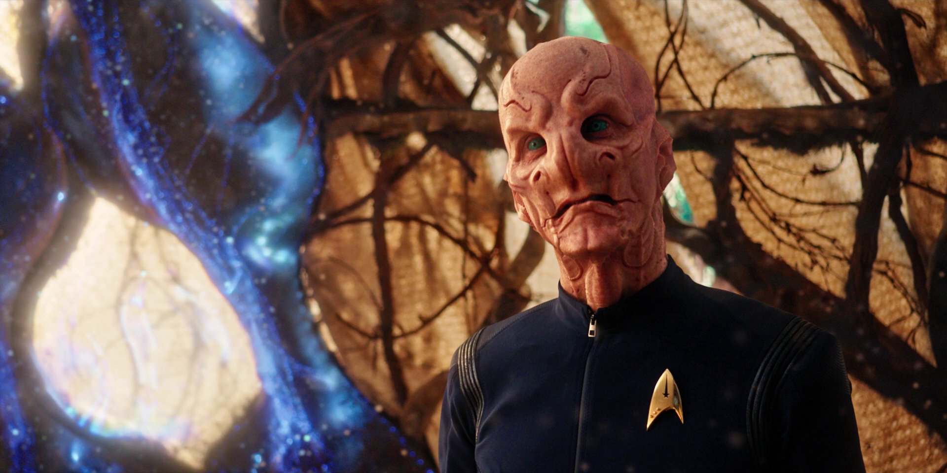 extant_StarTrekDiscovery_1x08-SiVisPacemParaBellum_2403.jpg