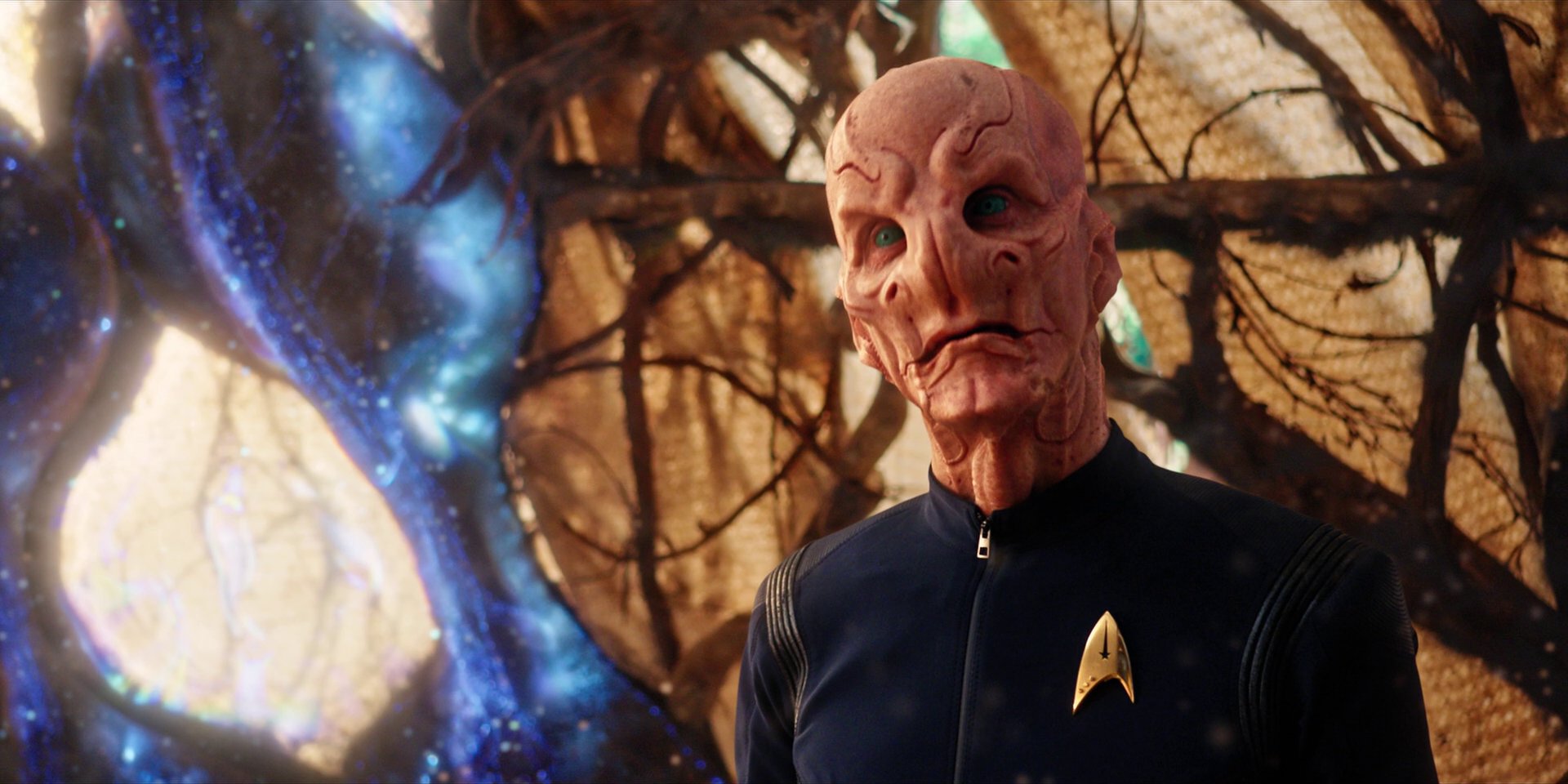 extant_StarTrekDiscovery_1x08-SiVisPacemParaBellum_2404.jpg