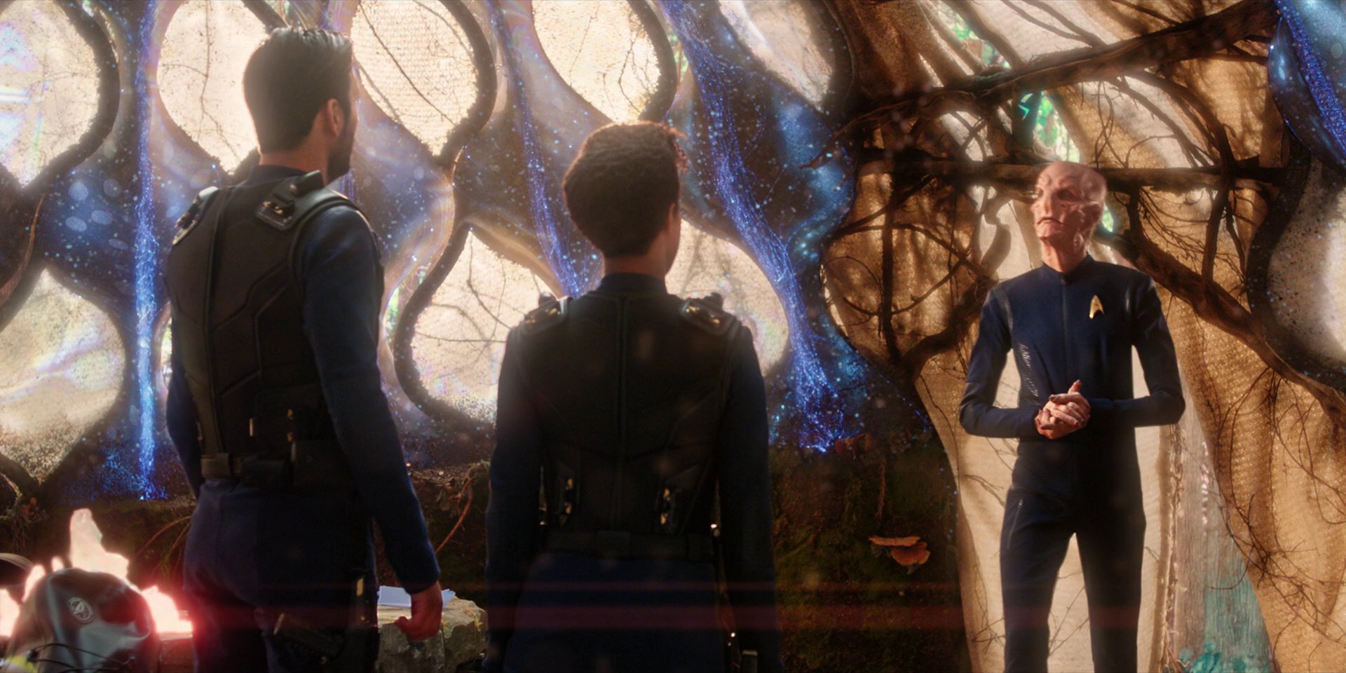 extant_StarTrekDiscovery_1x08-SiVisPacemParaBellum_2412.jpg