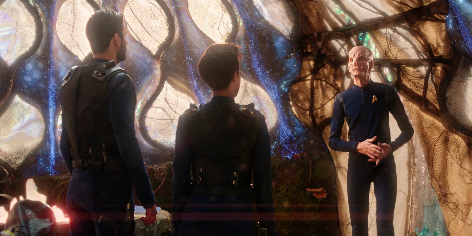 extant_StarTrekDiscovery_1x08-SiVisPacemParaBellum_2413.jpg