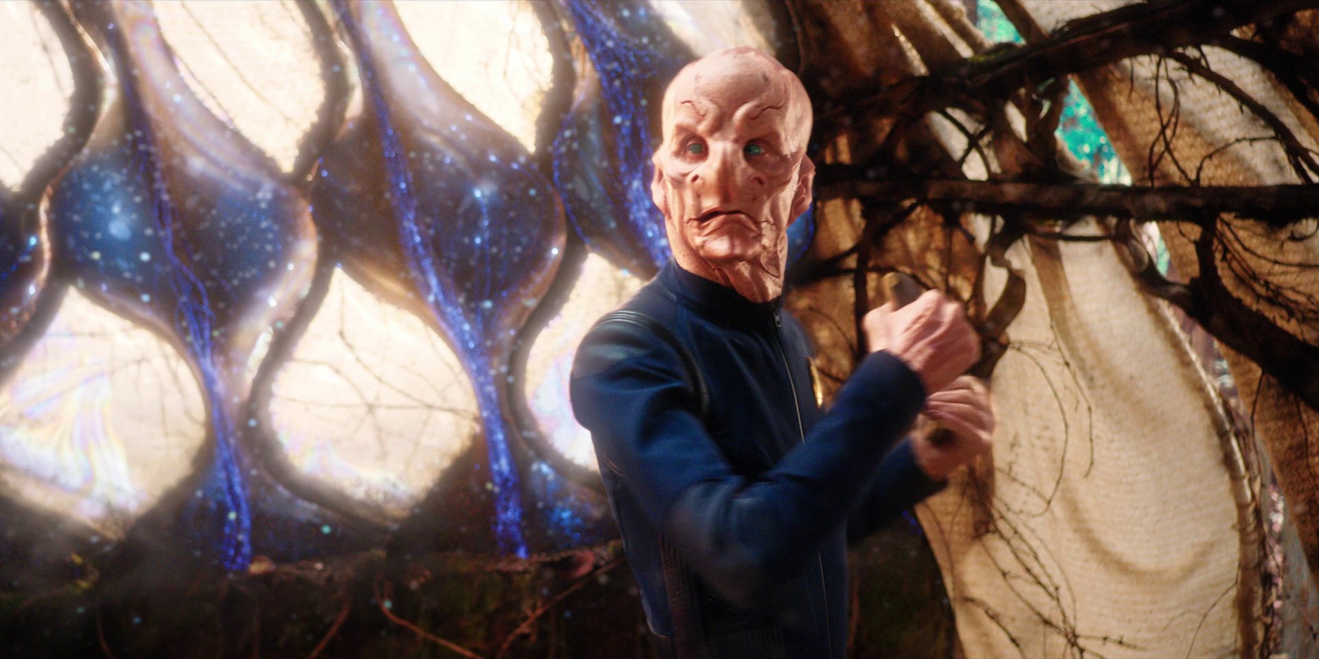 extant_StarTrekDiscovery_1x08-SiVisPacemParaBellum_2443.jpg